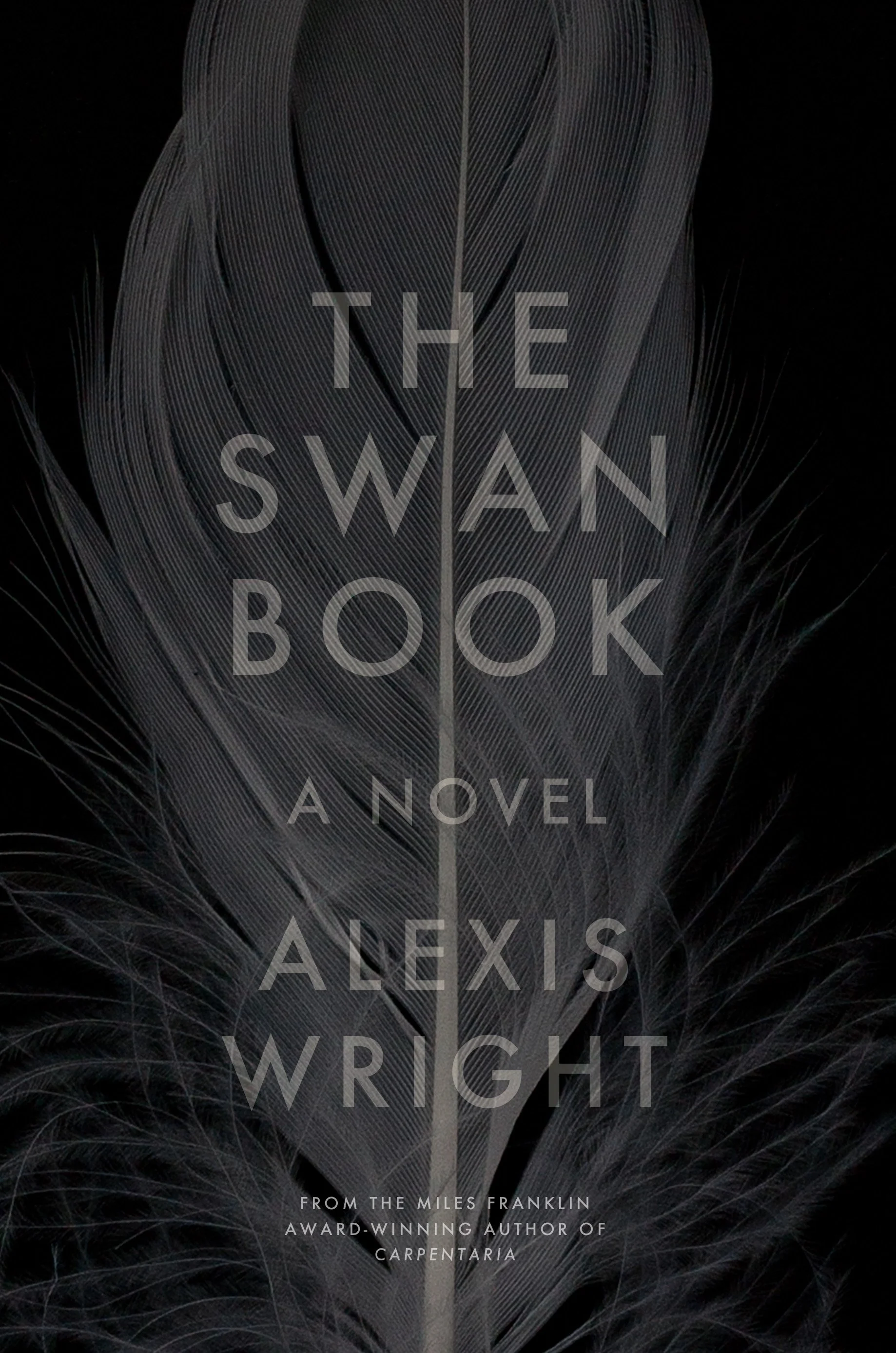 the swan book.P1C11b.jpg