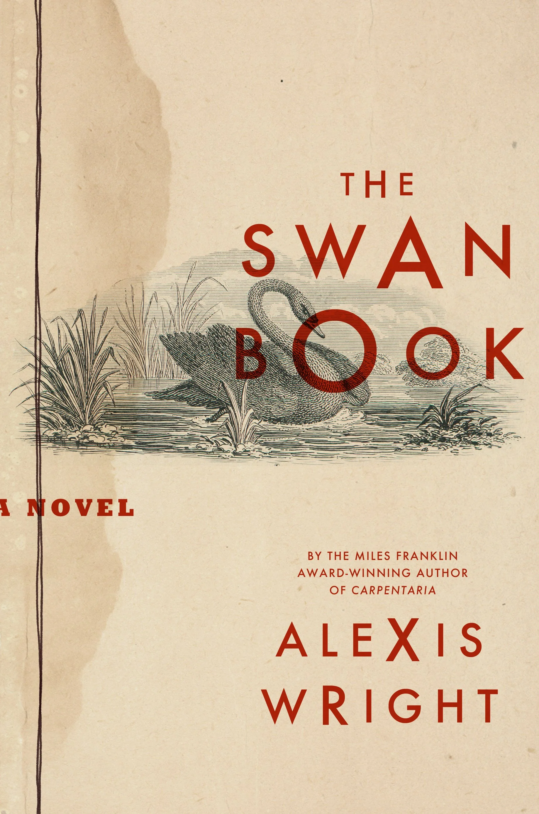 the swan book.P1C17.jpg
