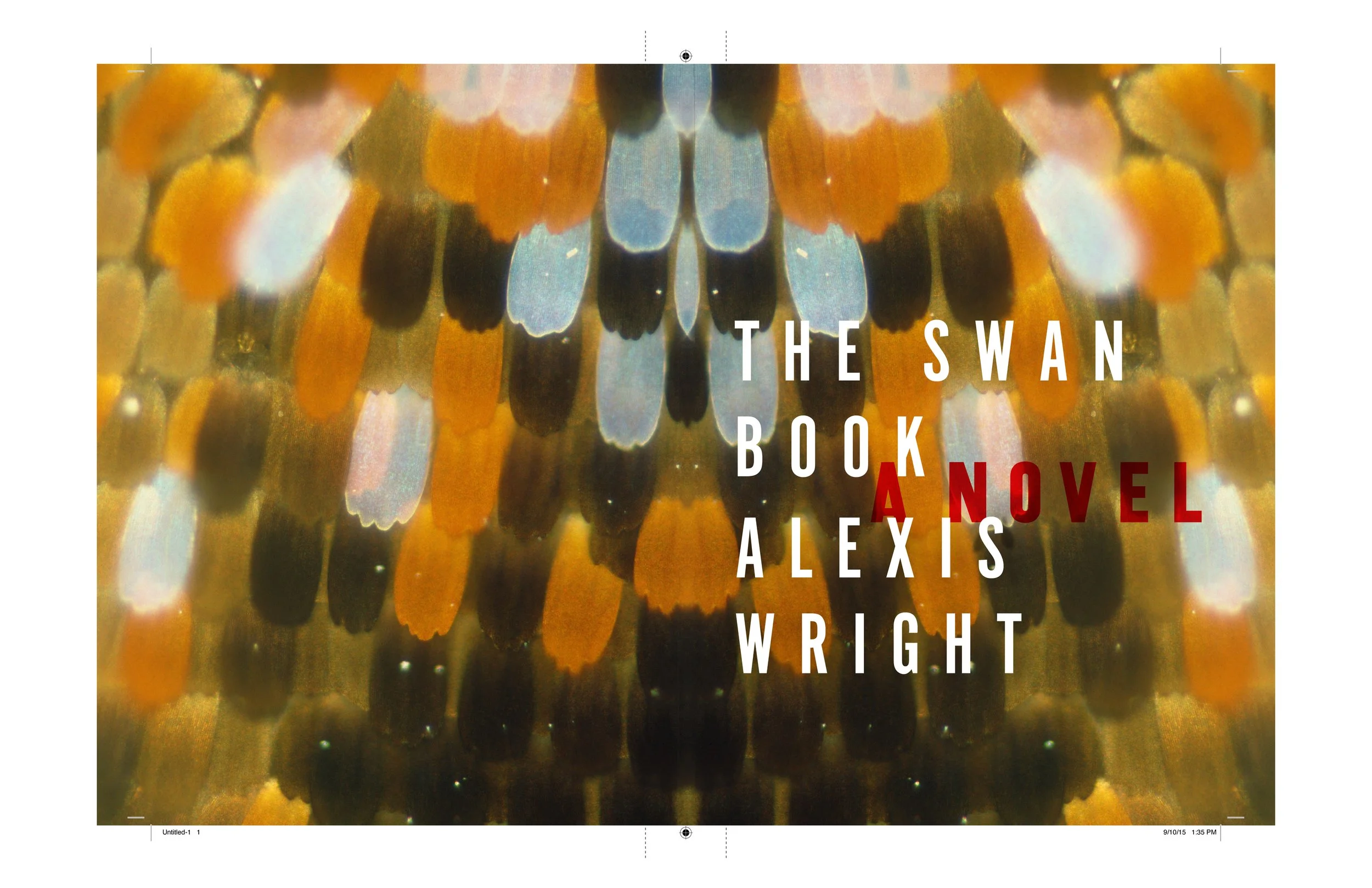 the swan book.P2C6w.jpg