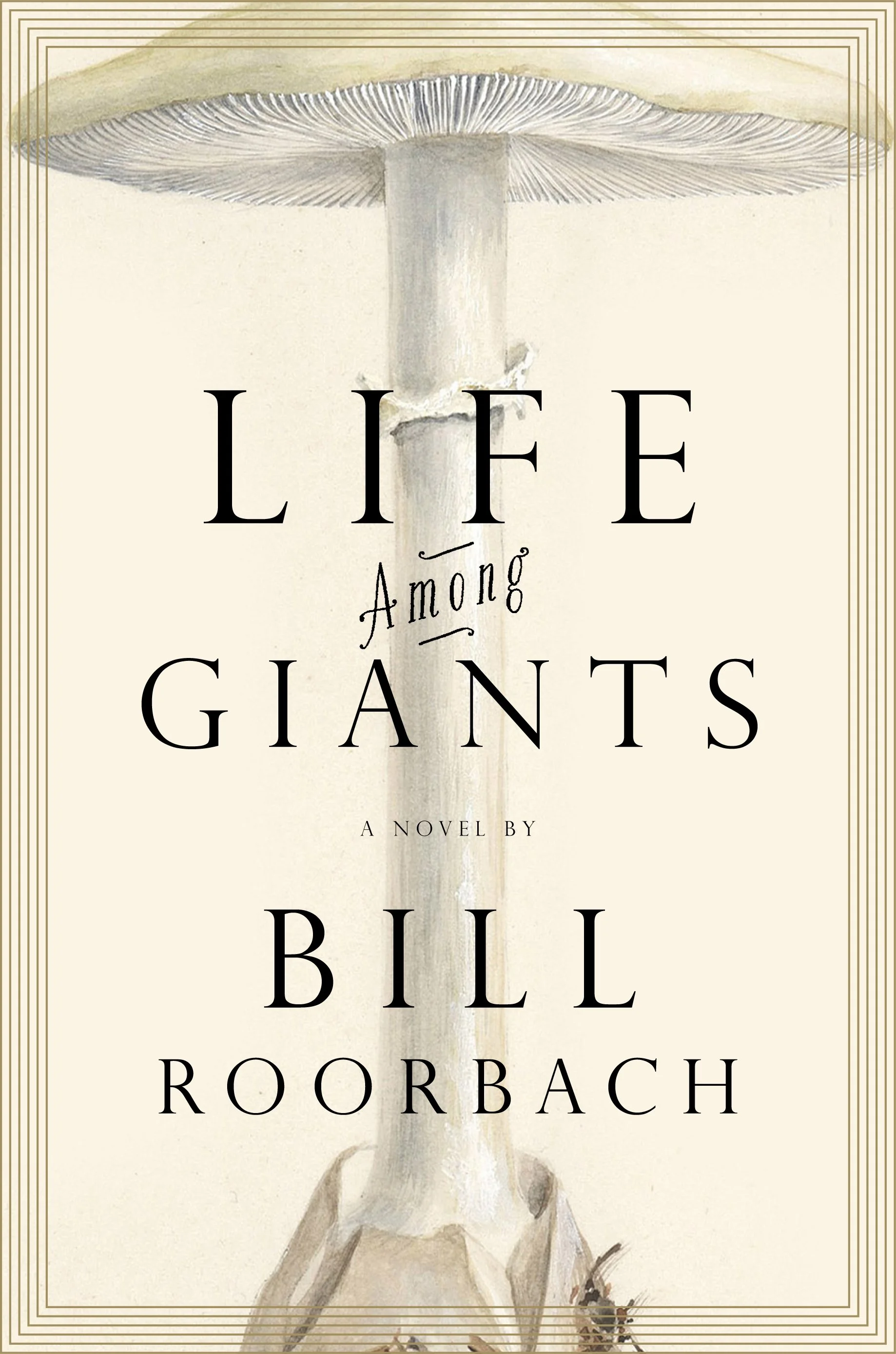 hardcover fiction