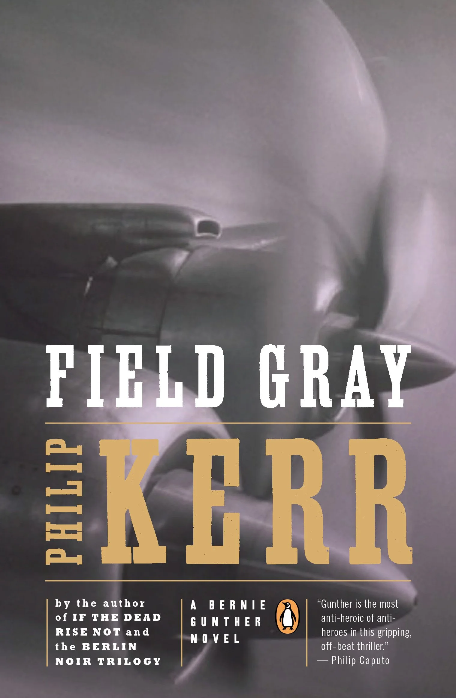 FieldGrey.PBK.P1C13.jpg