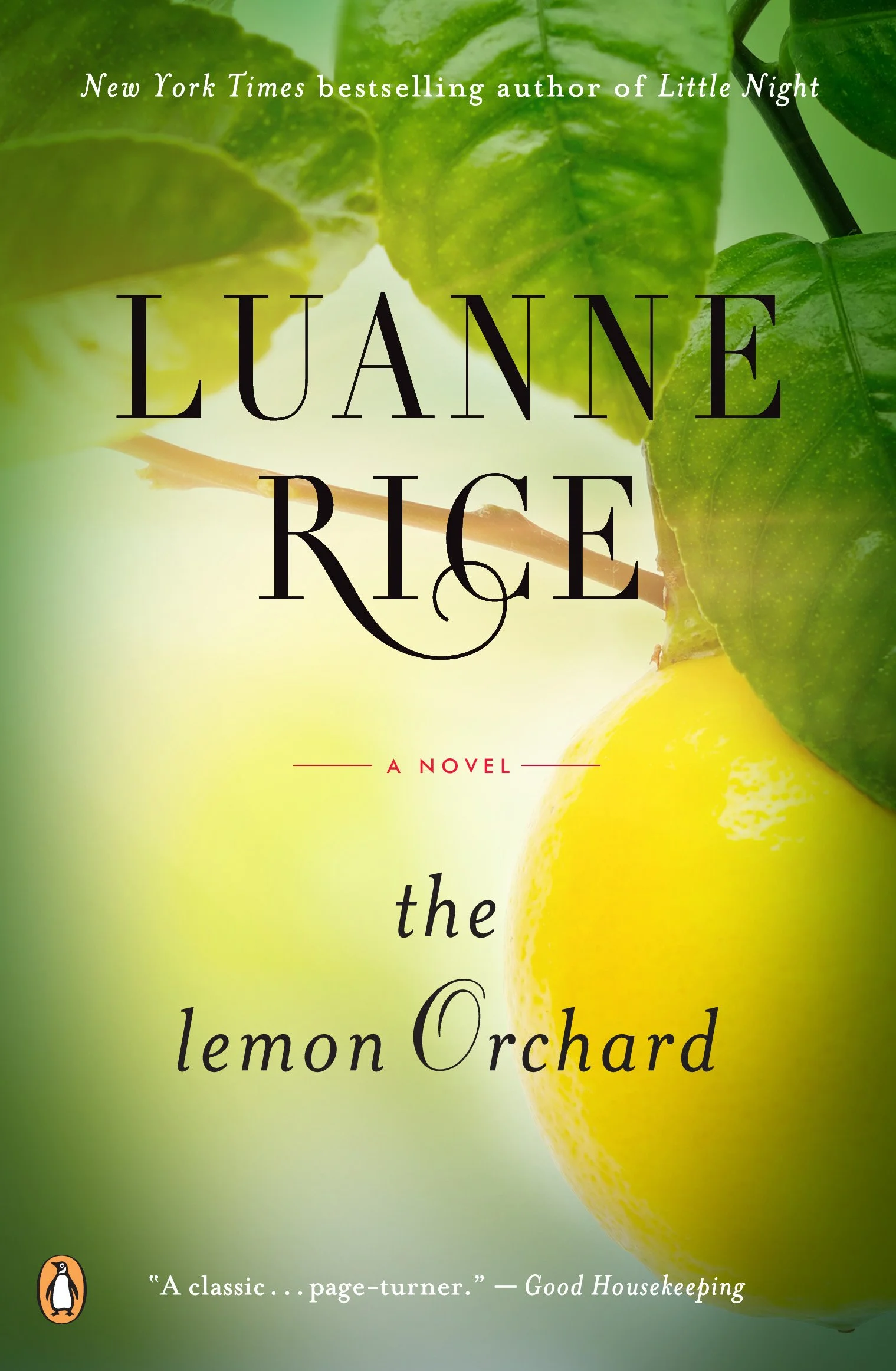 lemon orchard.P1C1.jpg