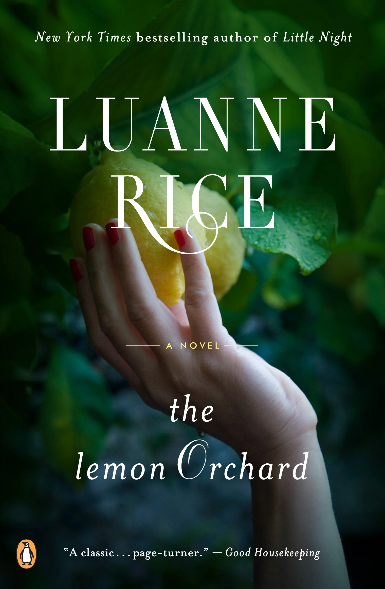 lemon orchard.P1C6.jpg