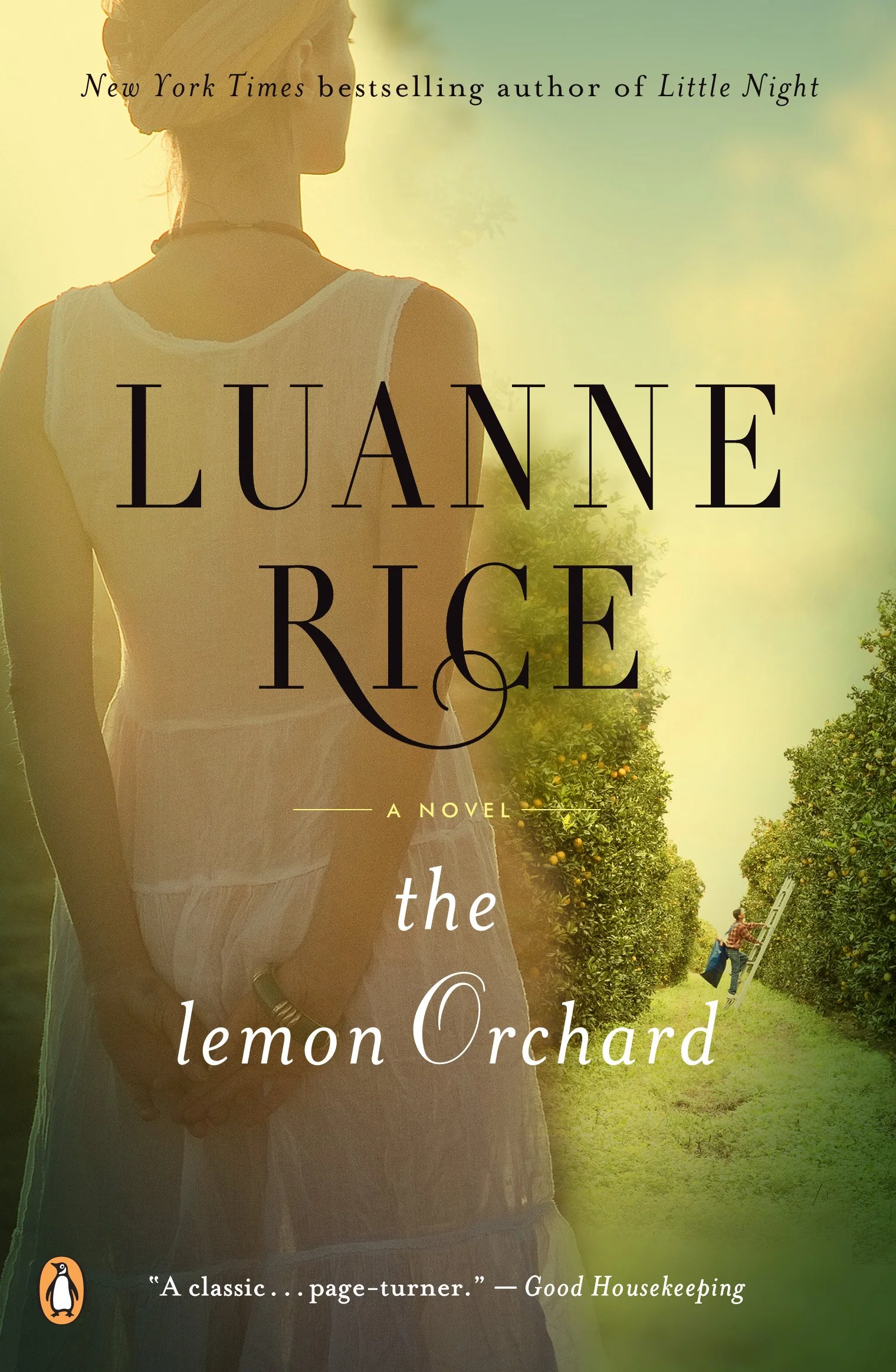 lemon orchard.P1C9.jpg