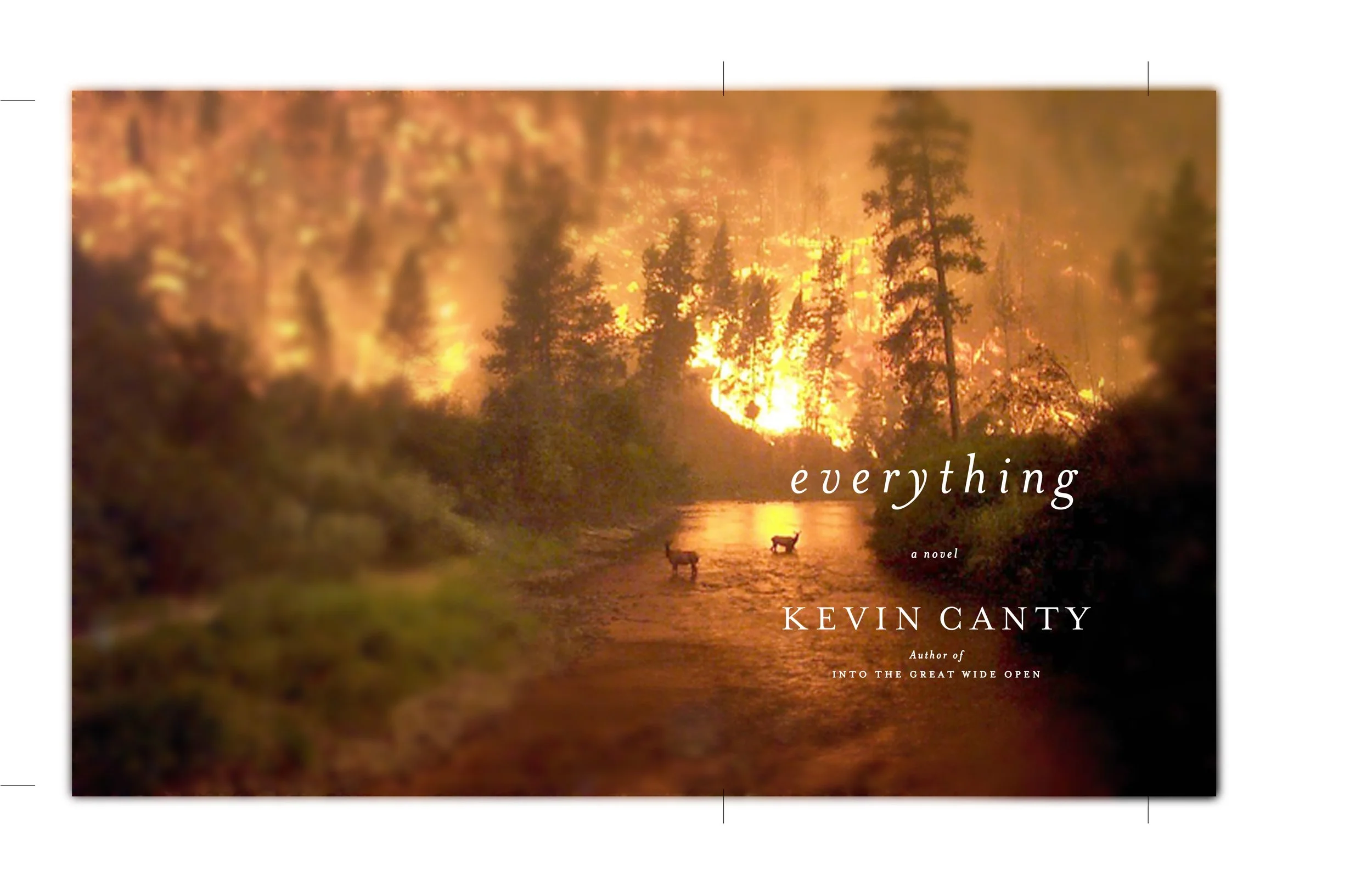 hardcover fiction
