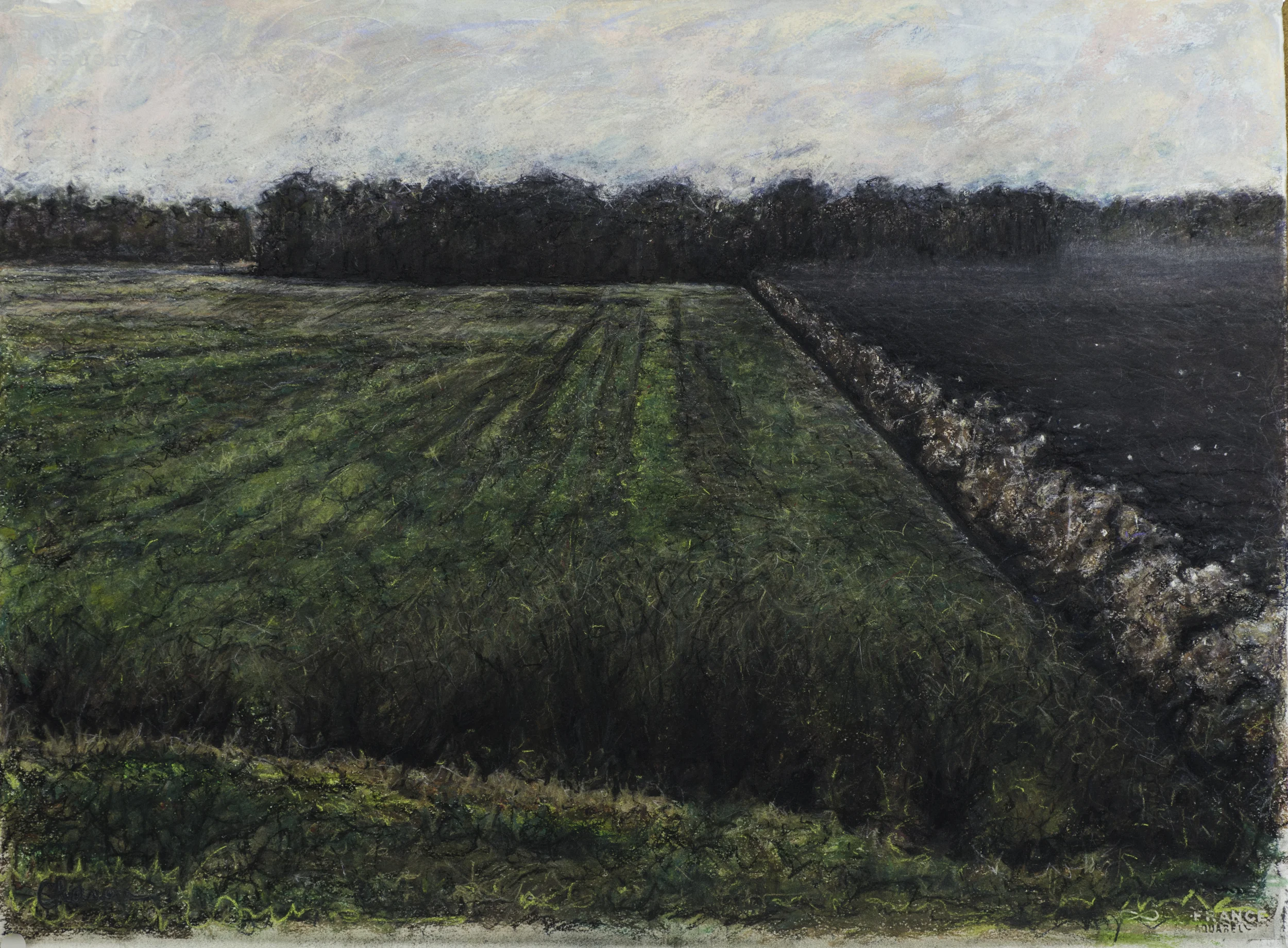 The Cotton Harvest and Field Laid Fallow