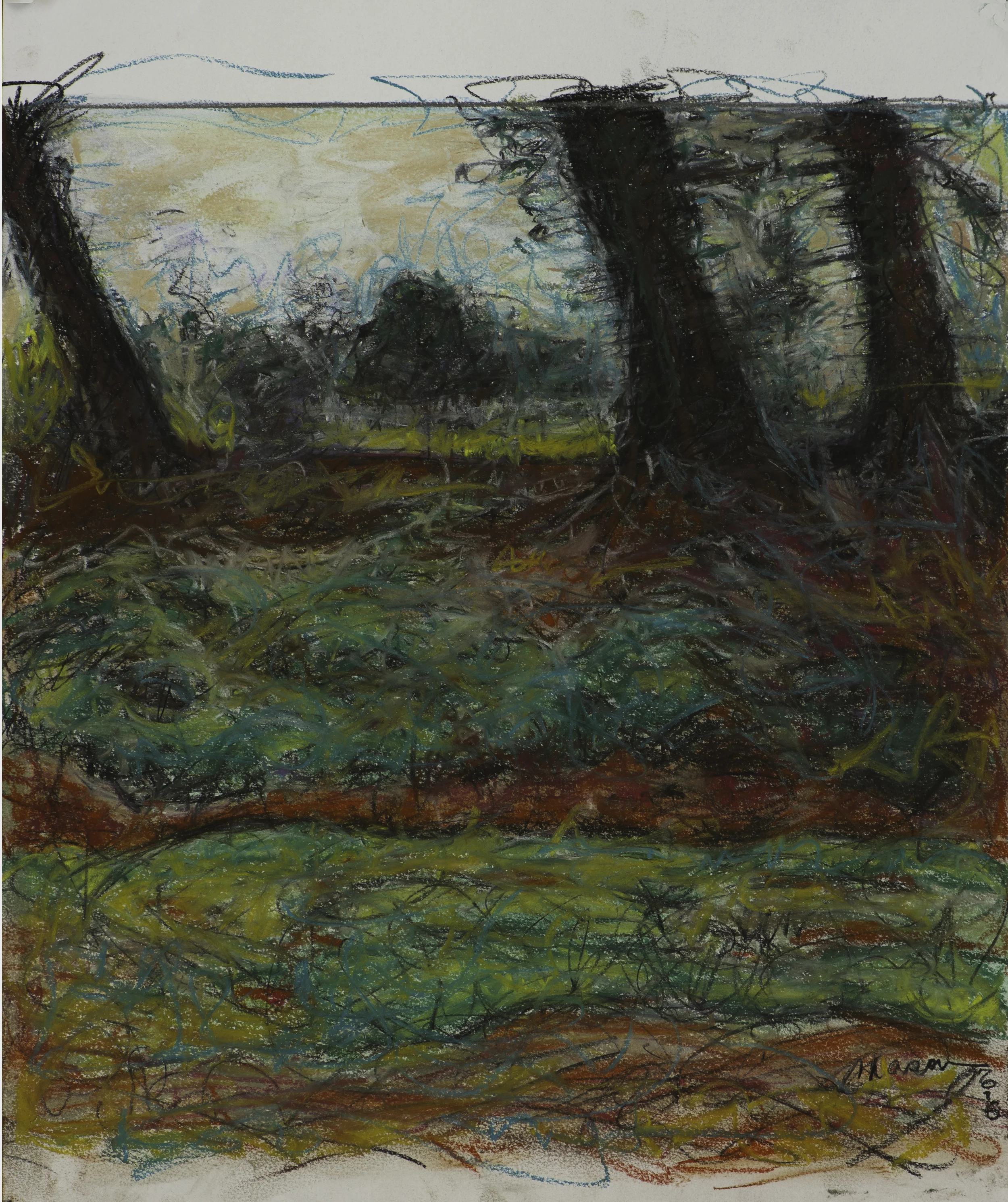 Sister Swamp Trees