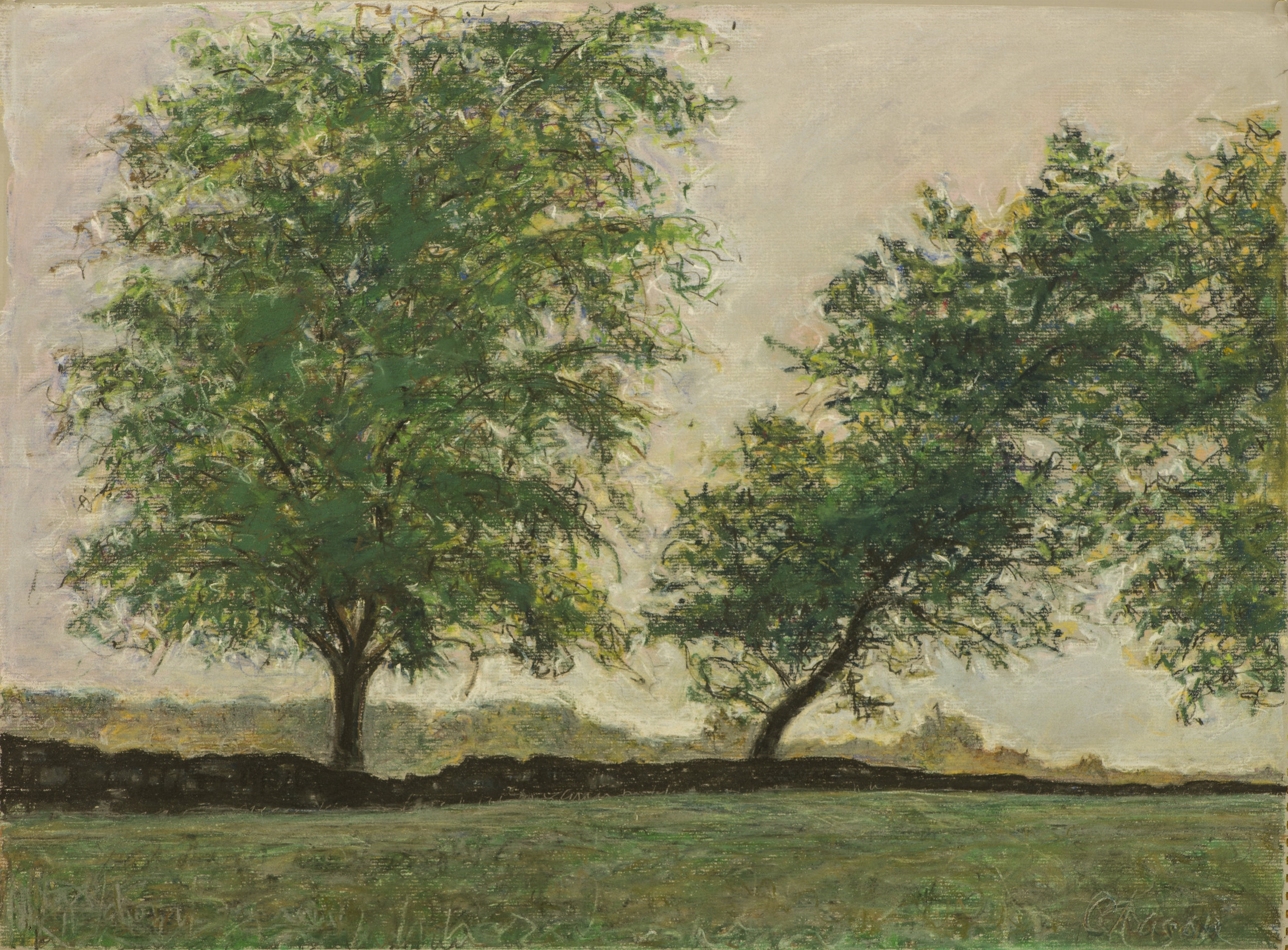 Election Tree, 2016