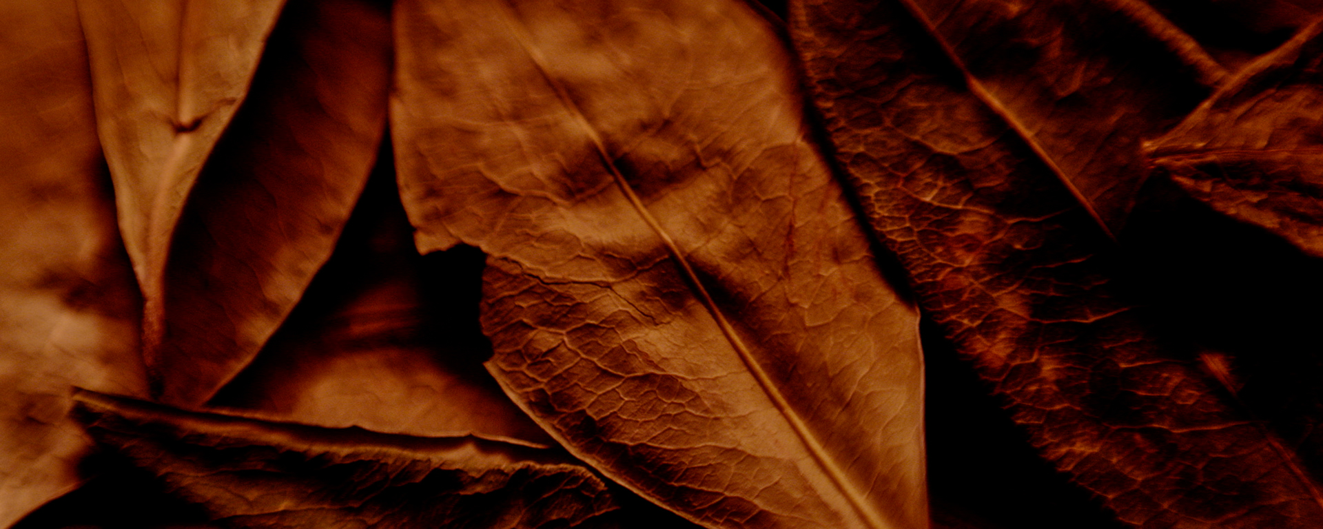 PIEDRASOLA_STILL42.jpg