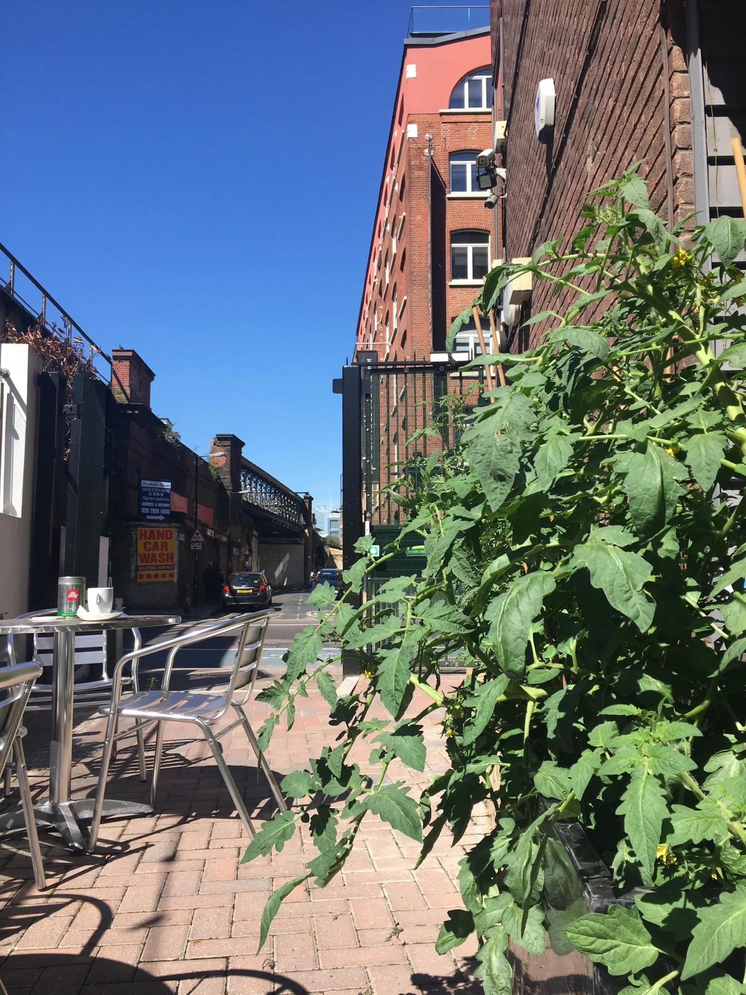 have coffee with our tomatoes