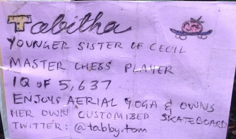 Tabitha: Younger sister of Cecil//master chess player//IQ of 5637//enjoys aerial yoga and owns her own customised skateboard//twitter @tabby.tom