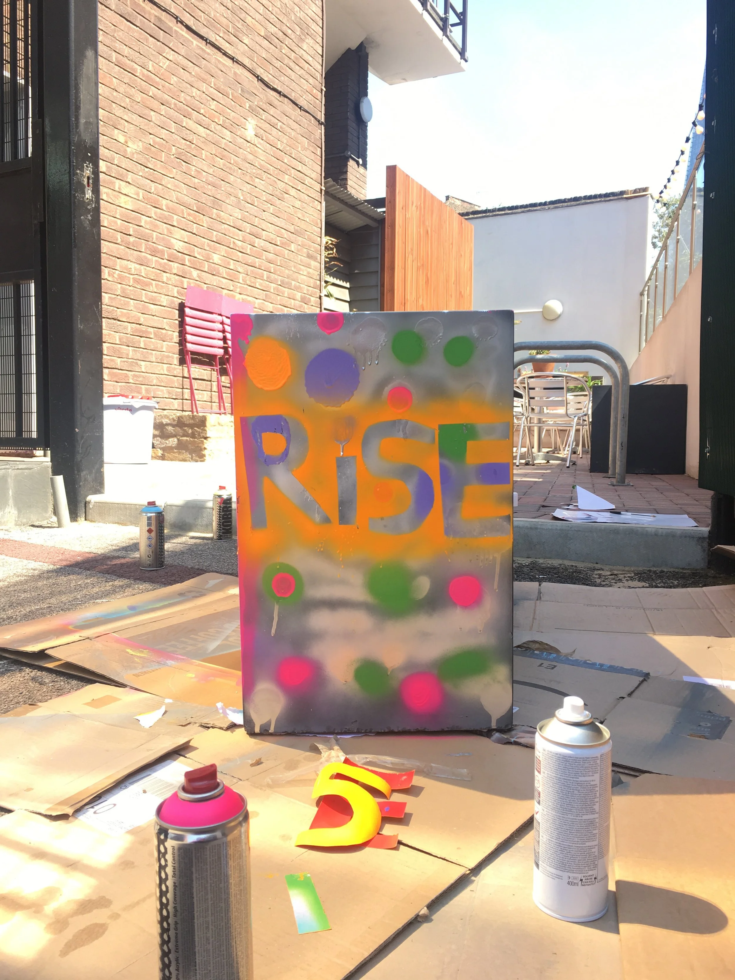 rise project