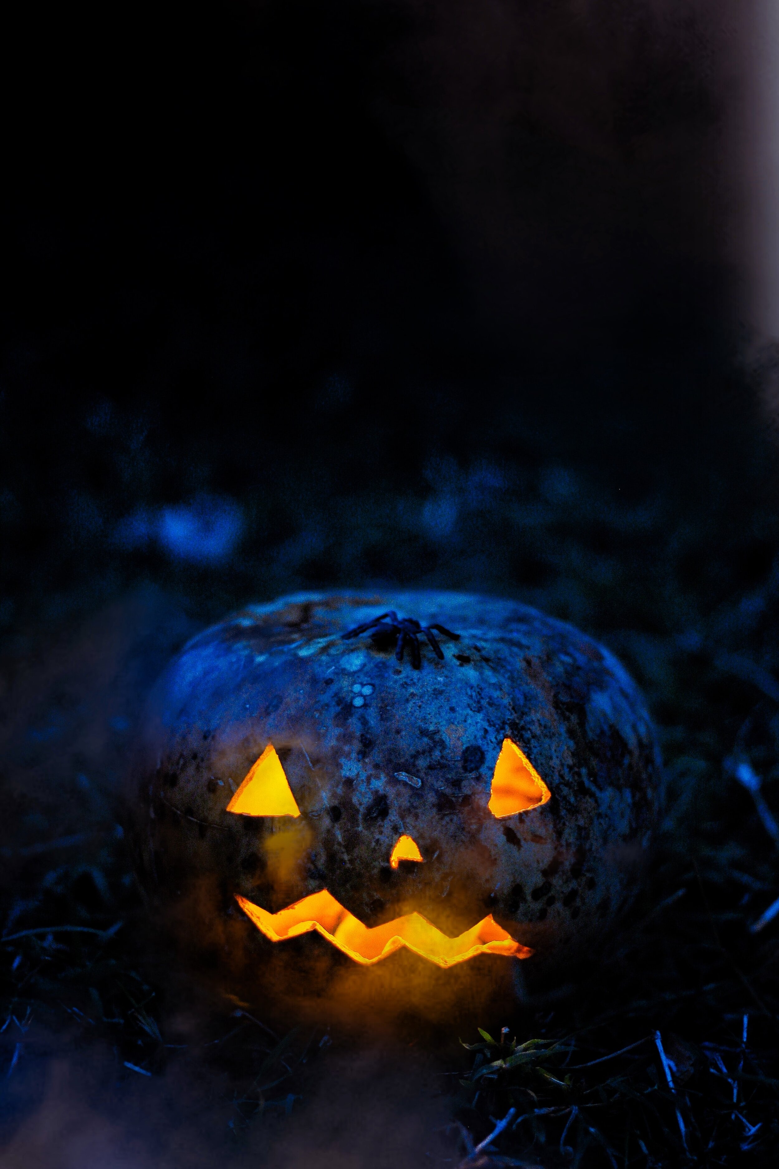 halloween.jpg
