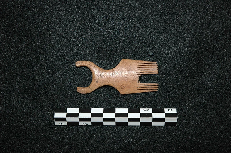 Antler Comb