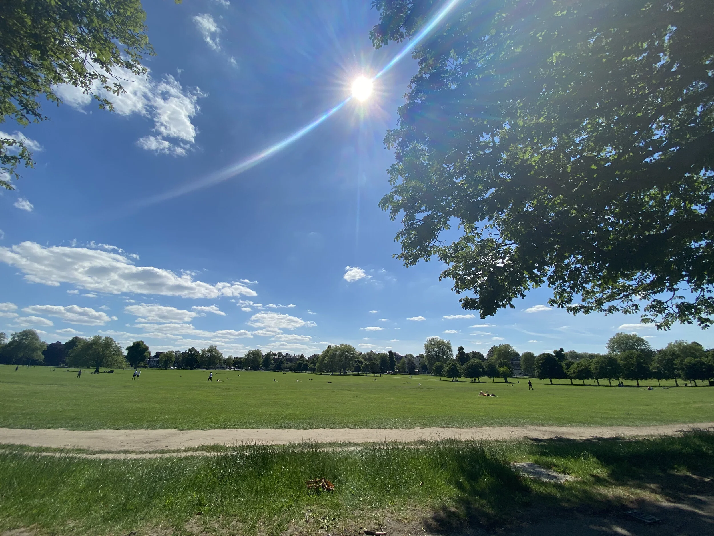 Dulwich Common 1.jpeg