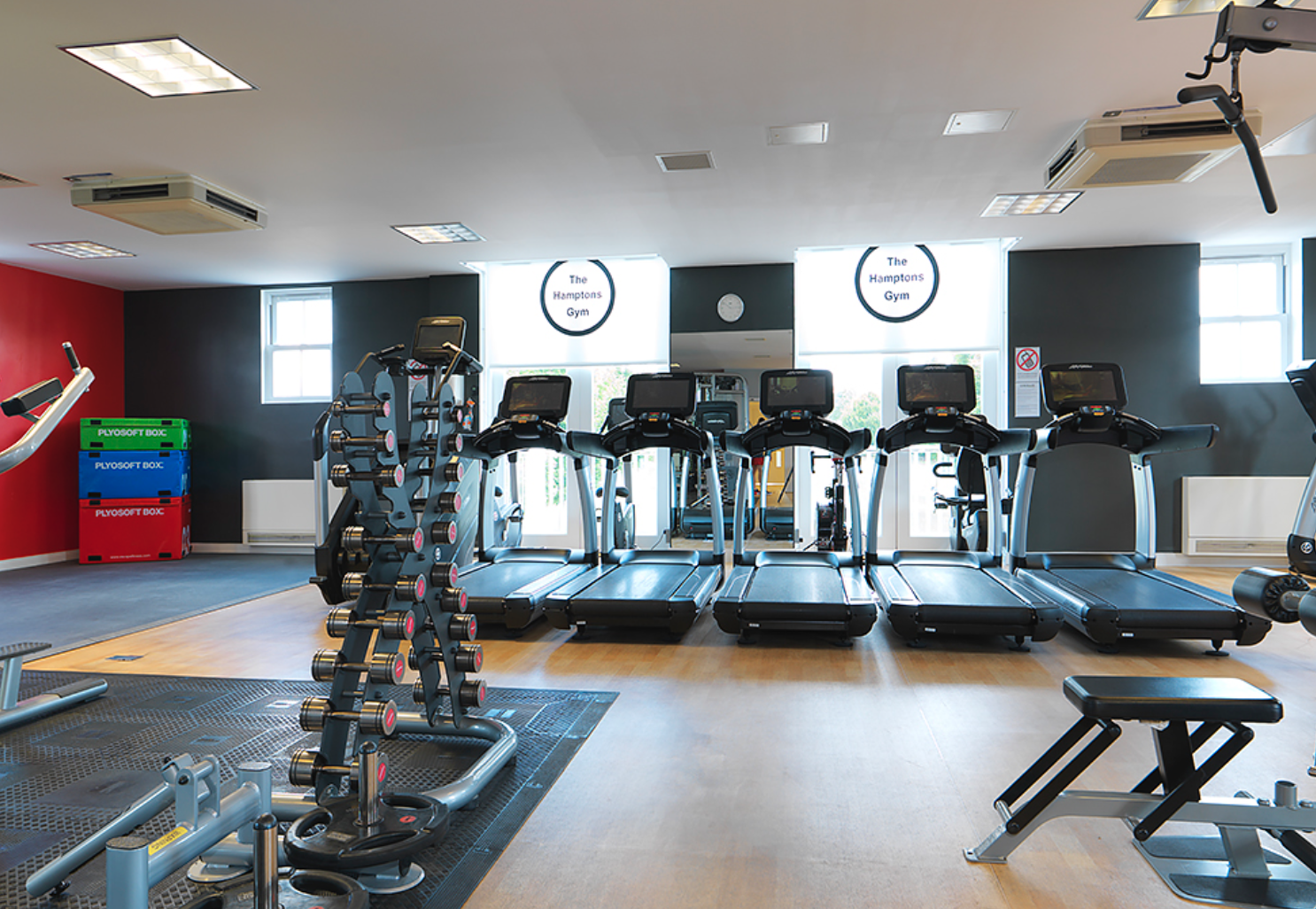 Gym 1.png