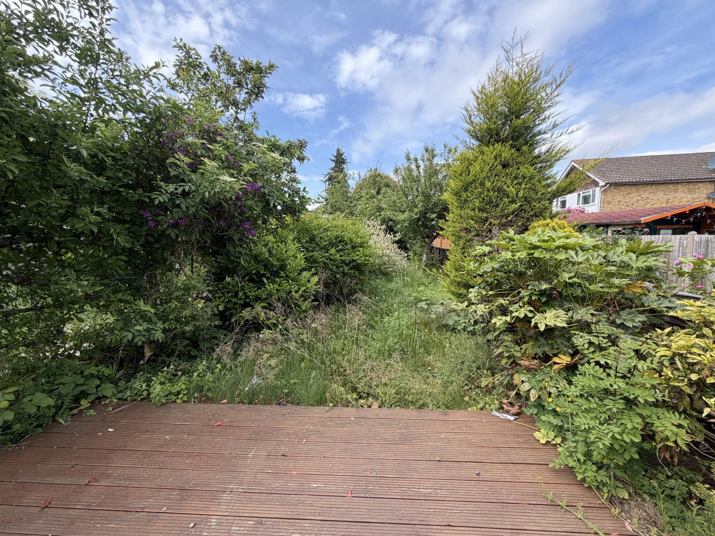 Garden pre-works.JPG