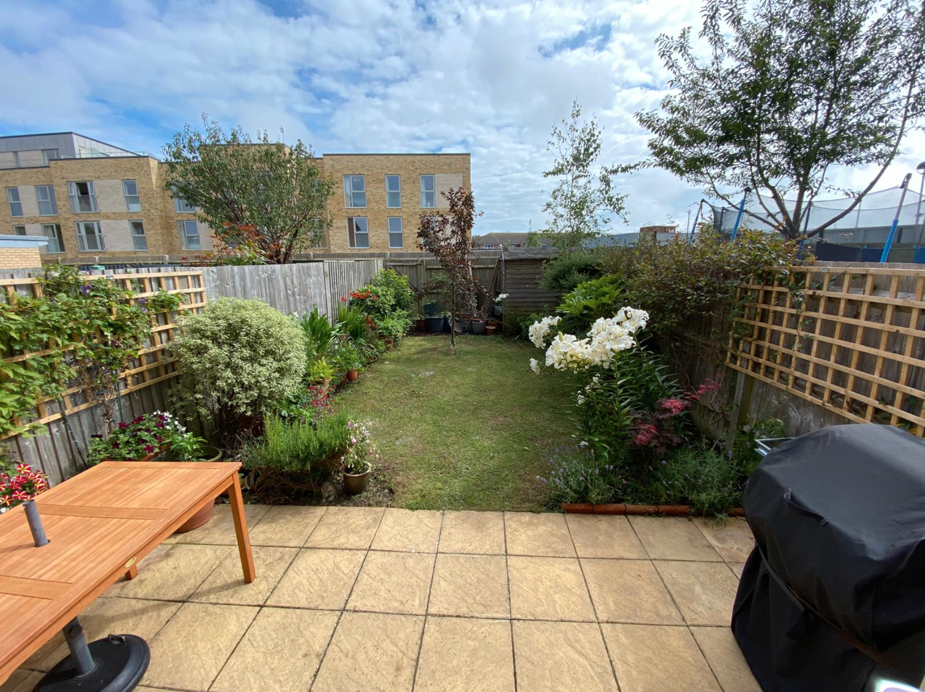 Patio Area.png