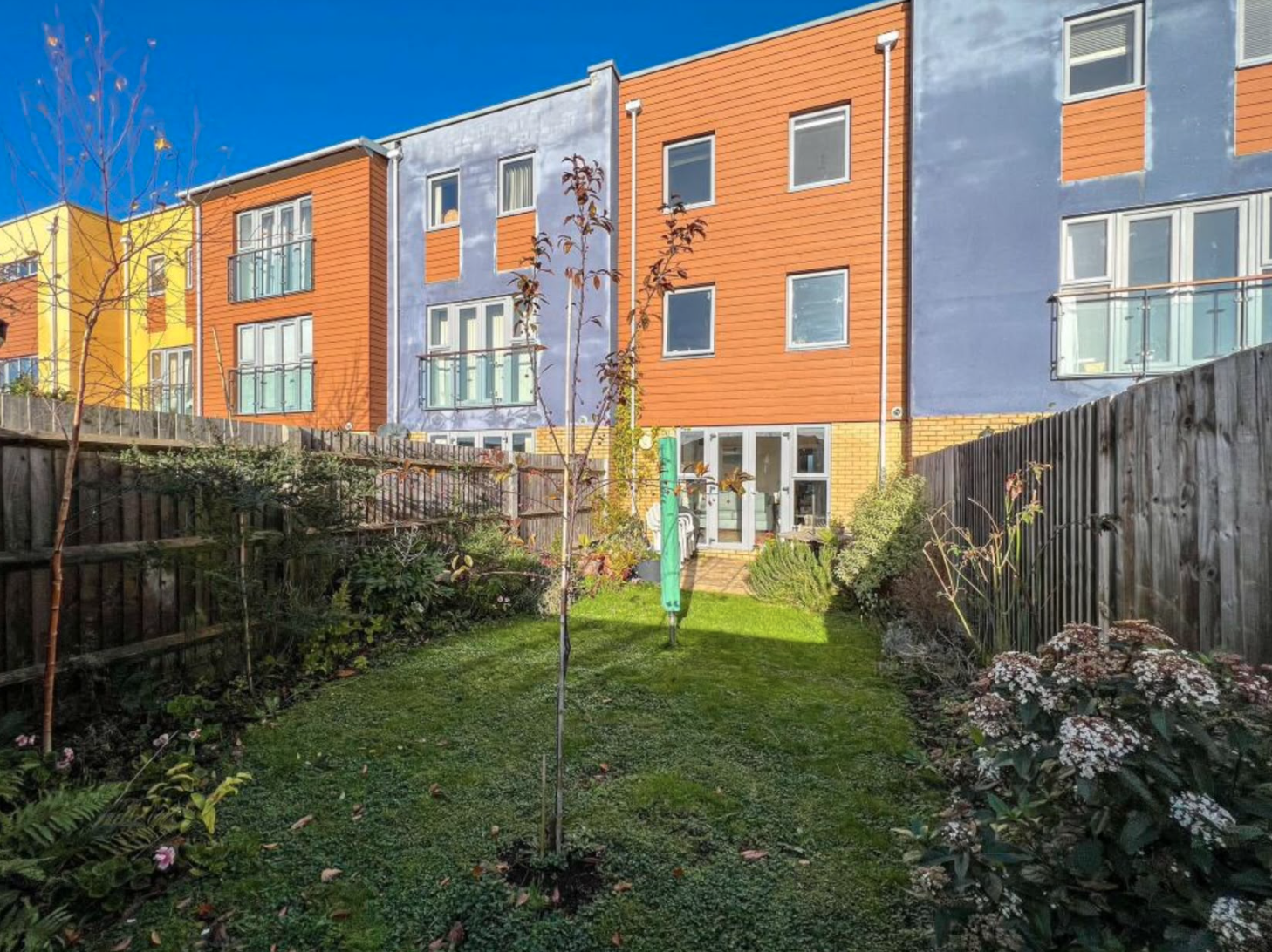 Rear Garden.png