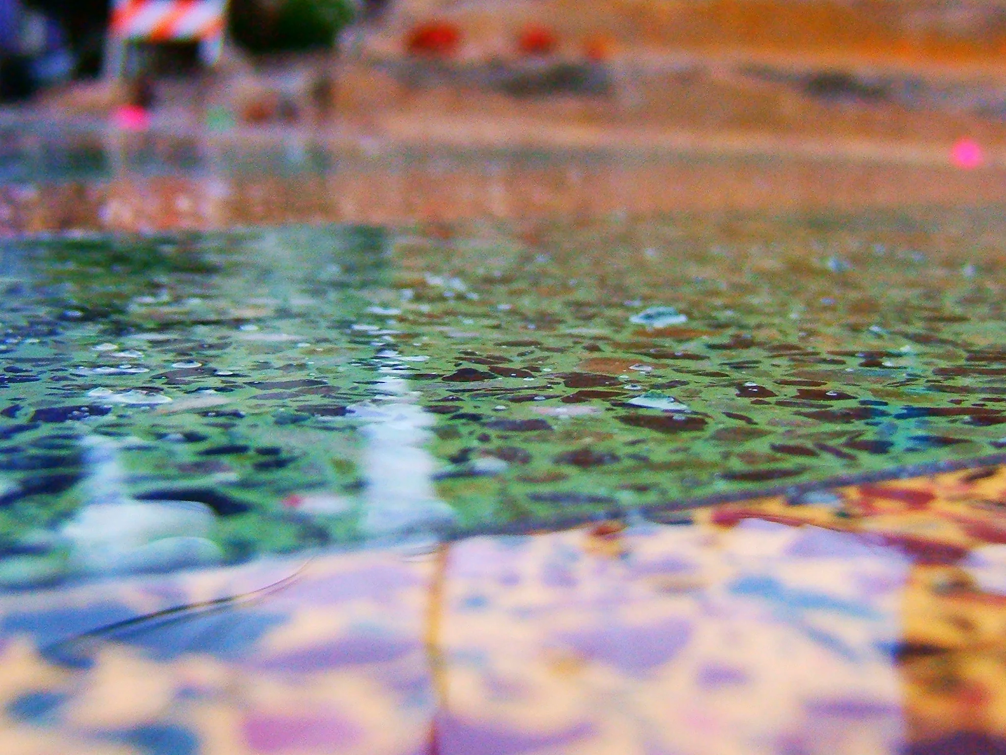 DSCF9900.JPG