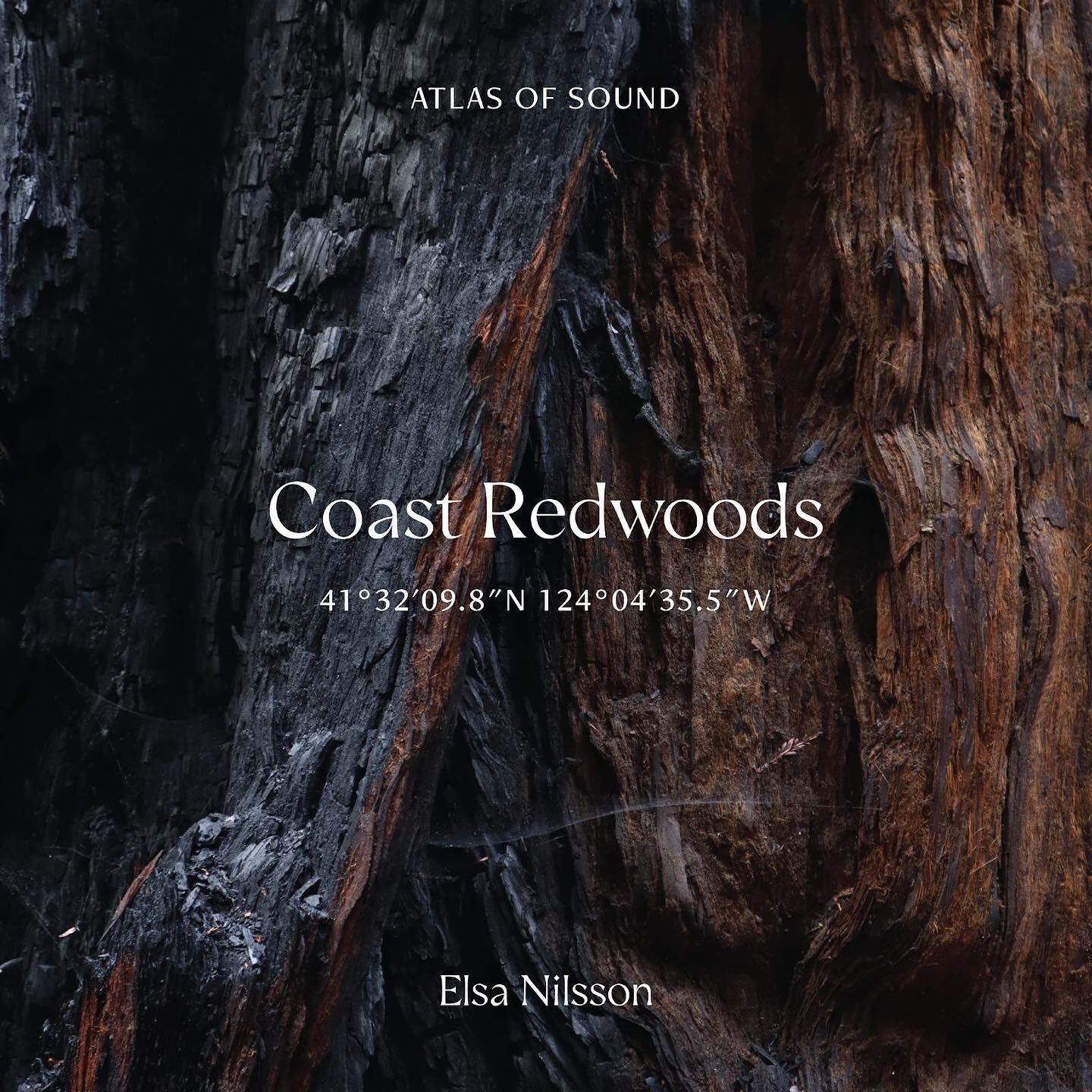 🪵 Atlas of Sound. Coast Redwoods 41&deg;32&rsquo;09.8&rdquo;N 124&deg;04&rsquo;35.5&rdquo;W 🪵 

💿 Atlas of Sound. Coast Redwoods 41&deg;32&rsquo;09.8&rdquo;N 124&deg;04&rsquo;35.5&rdquo;W , by flautist and composer @elsanilssonmusic ,is already av