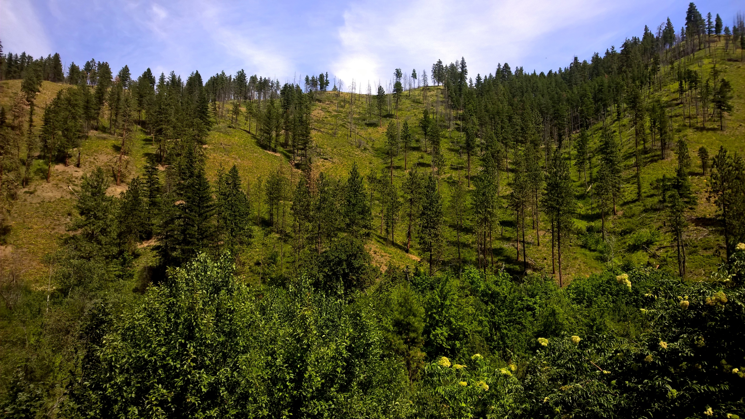 The hills are alive... - Leavenworth, WA