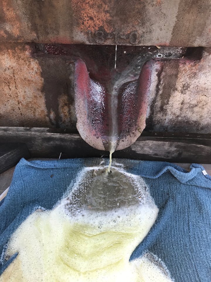 Sorghum Processing