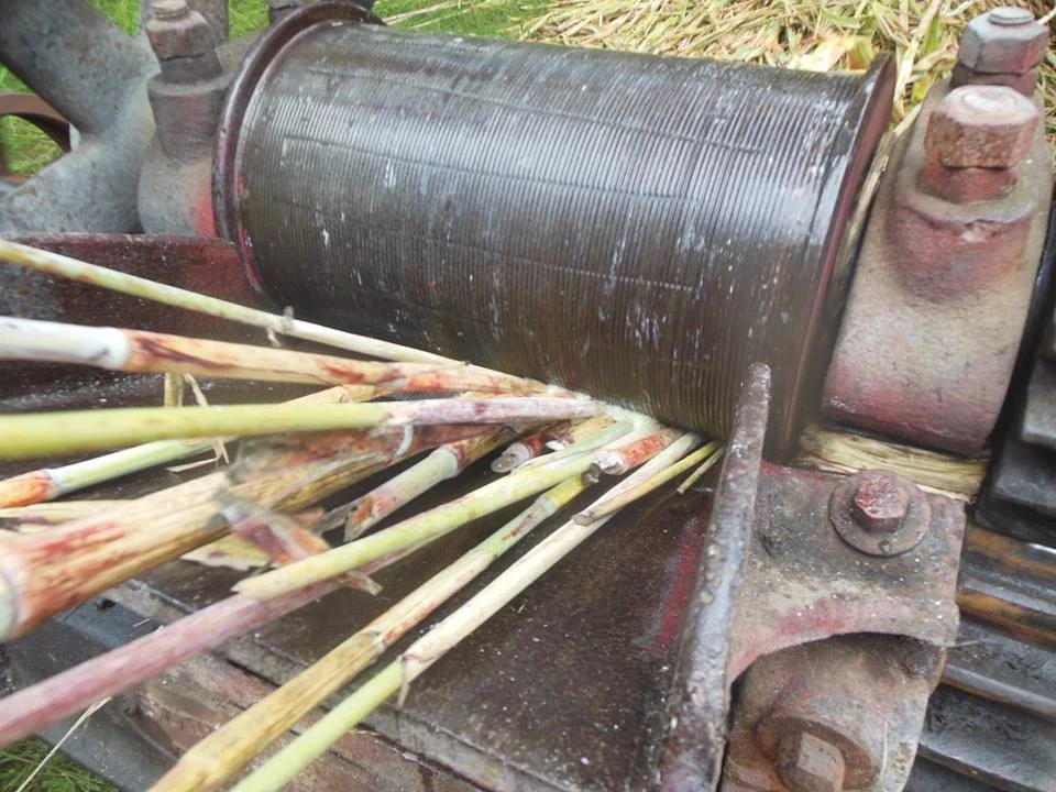 Sorghum Processing