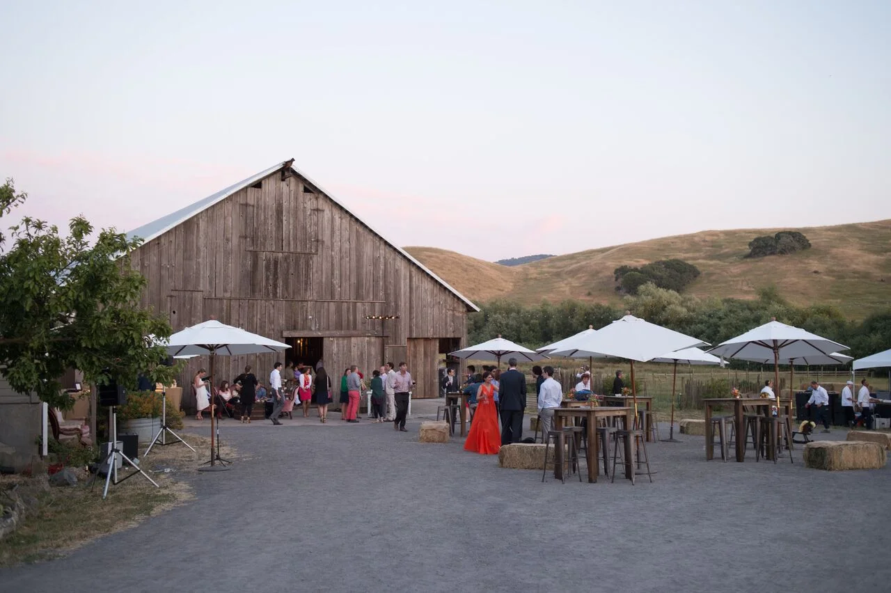 Reception2-1241_preview.jpg