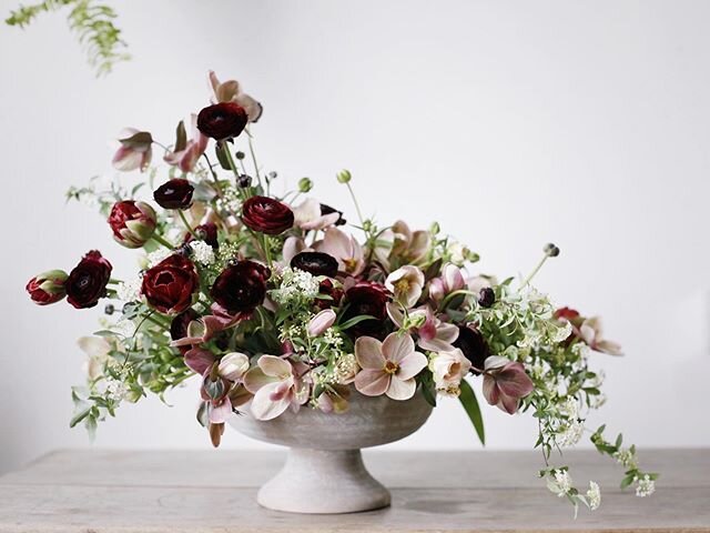 One more week and it&rsquo;s March!! I&rsquo;m not sure how that&rsquo;s possible, but these pretty blooms make time go just a little slower. .
.
.
.
.
#cagrown #hellebore #tulips #ranunculus #spirea #springiscoming #spring #thatsdarling #undertheflo