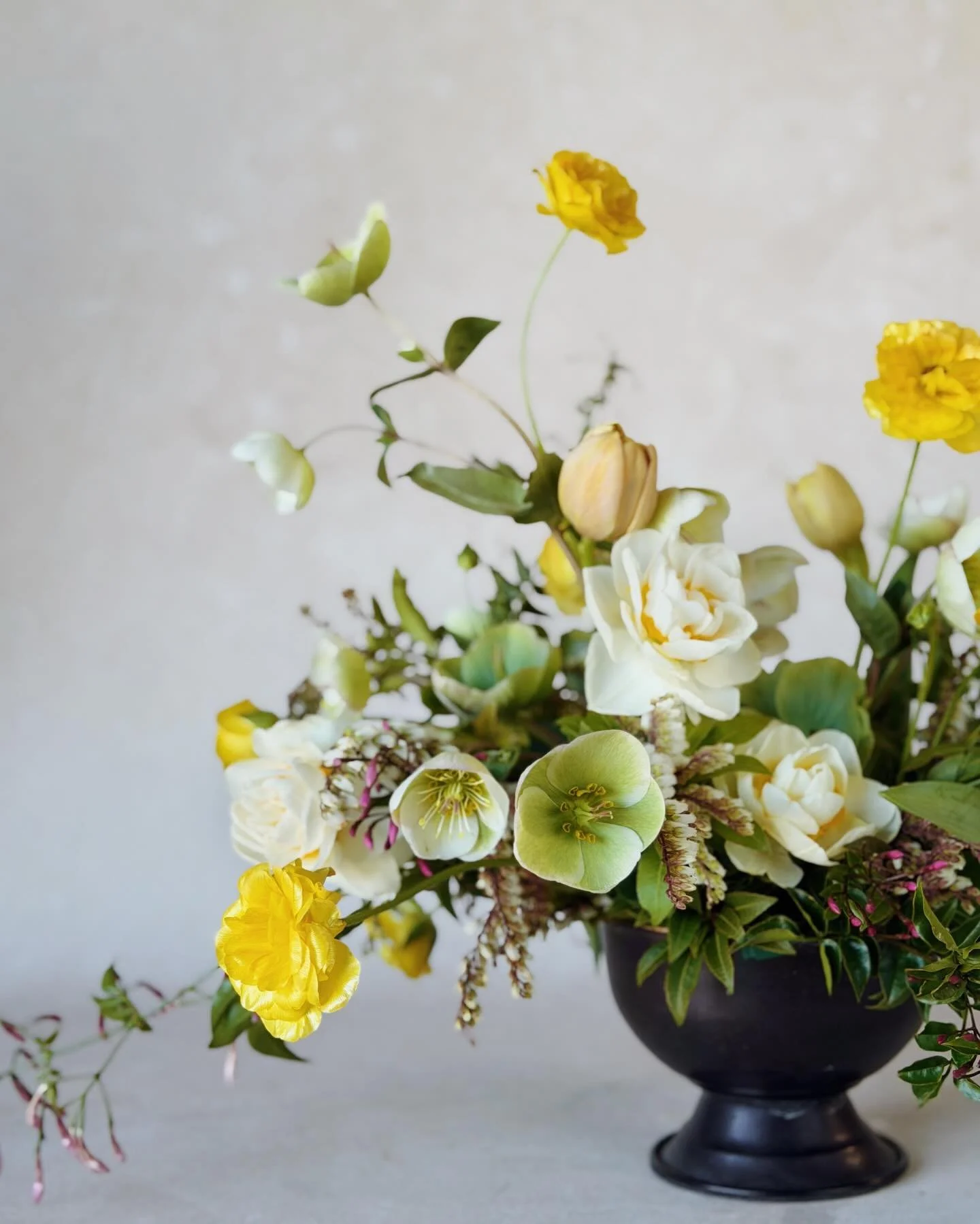 A little bit of brightness for what seems like dark times &hellip;