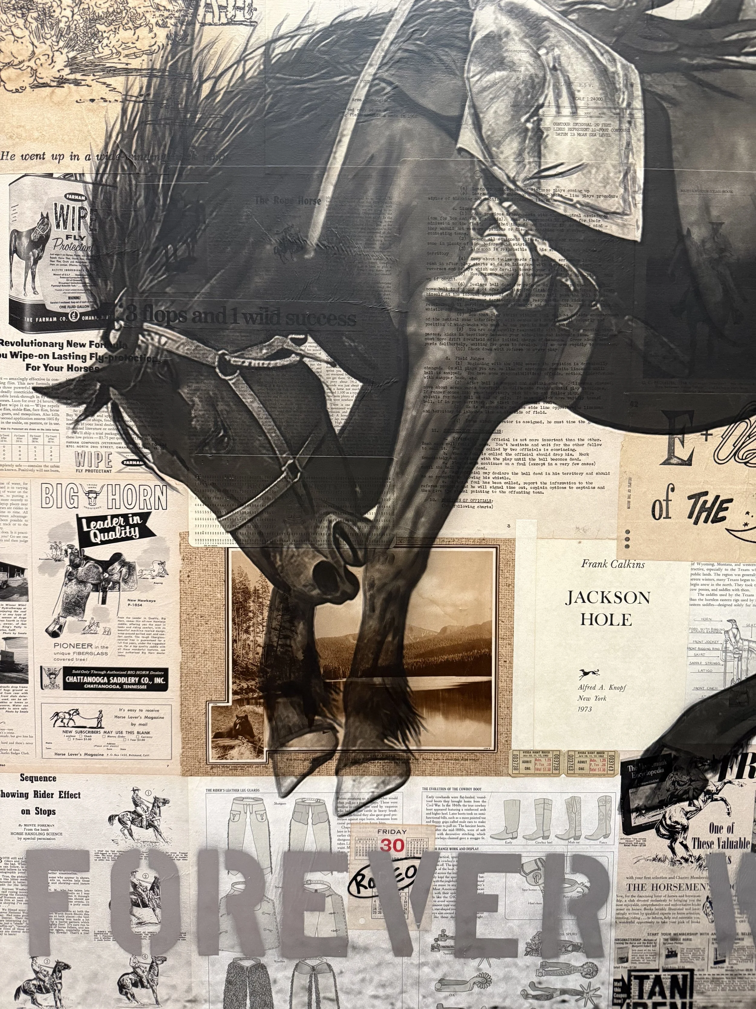 Forever West - Detail .jpg