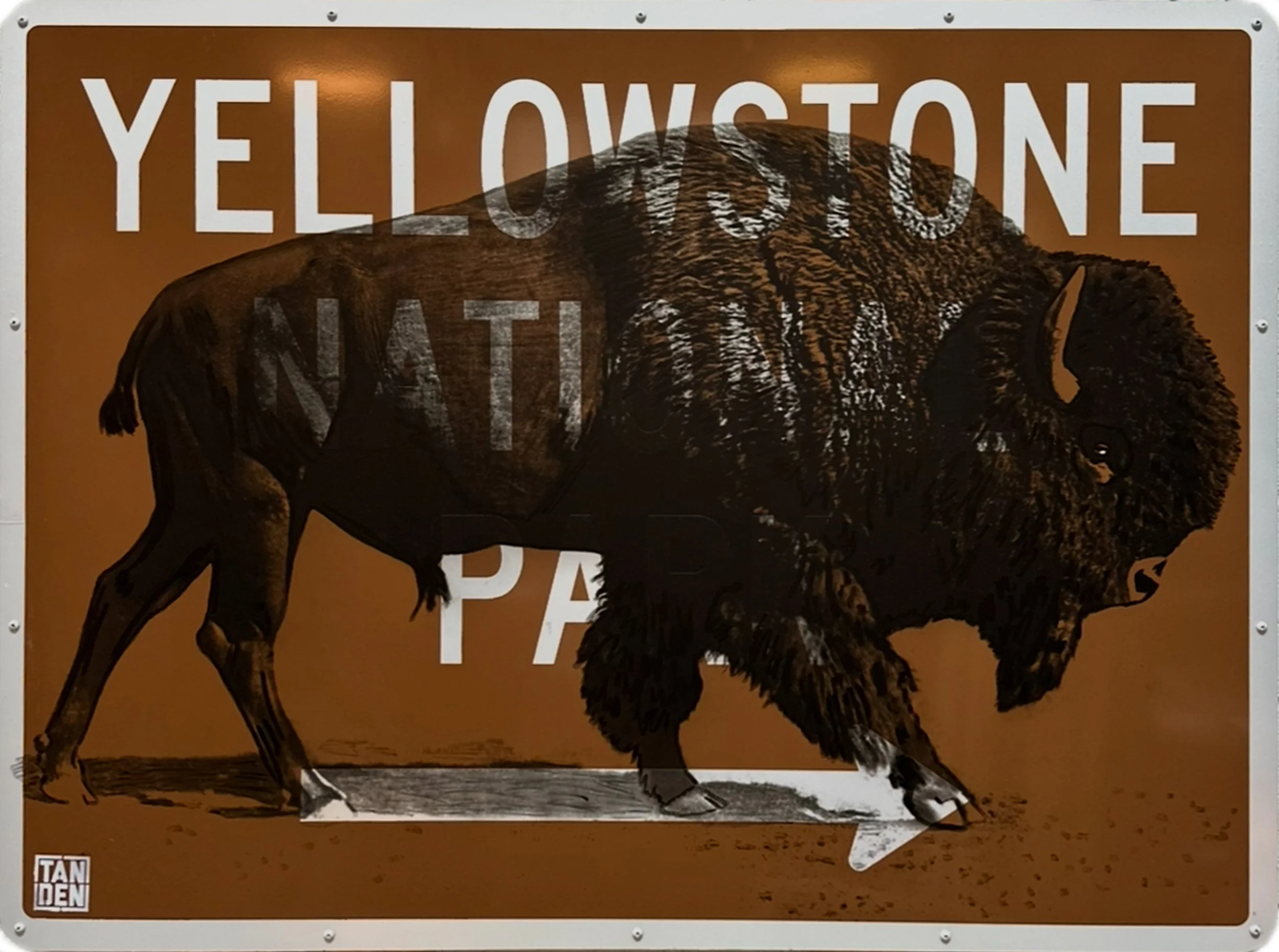 Yellowstone National Park 47 x 35 .jpg