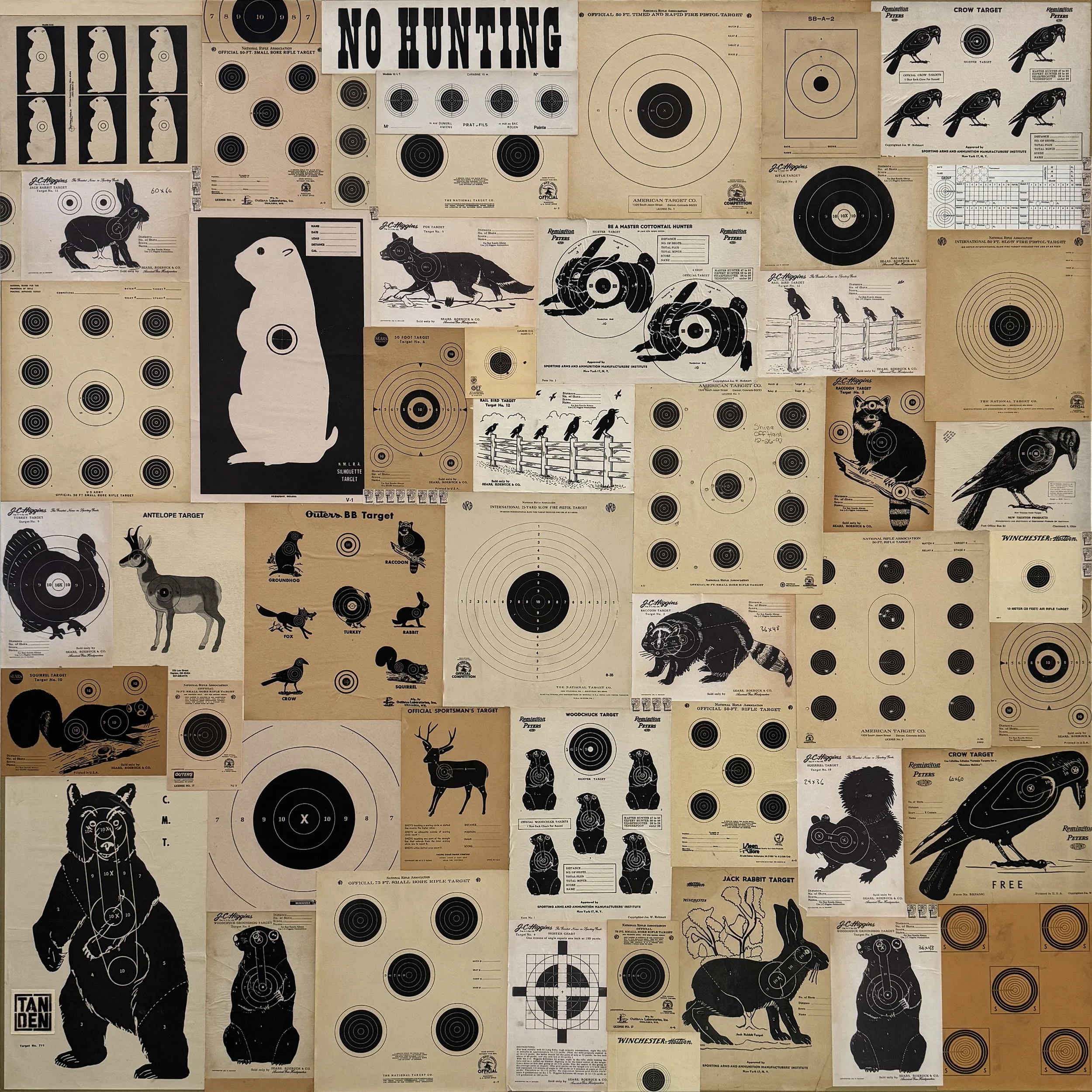 ON TARGET 60 X 60 .jpg