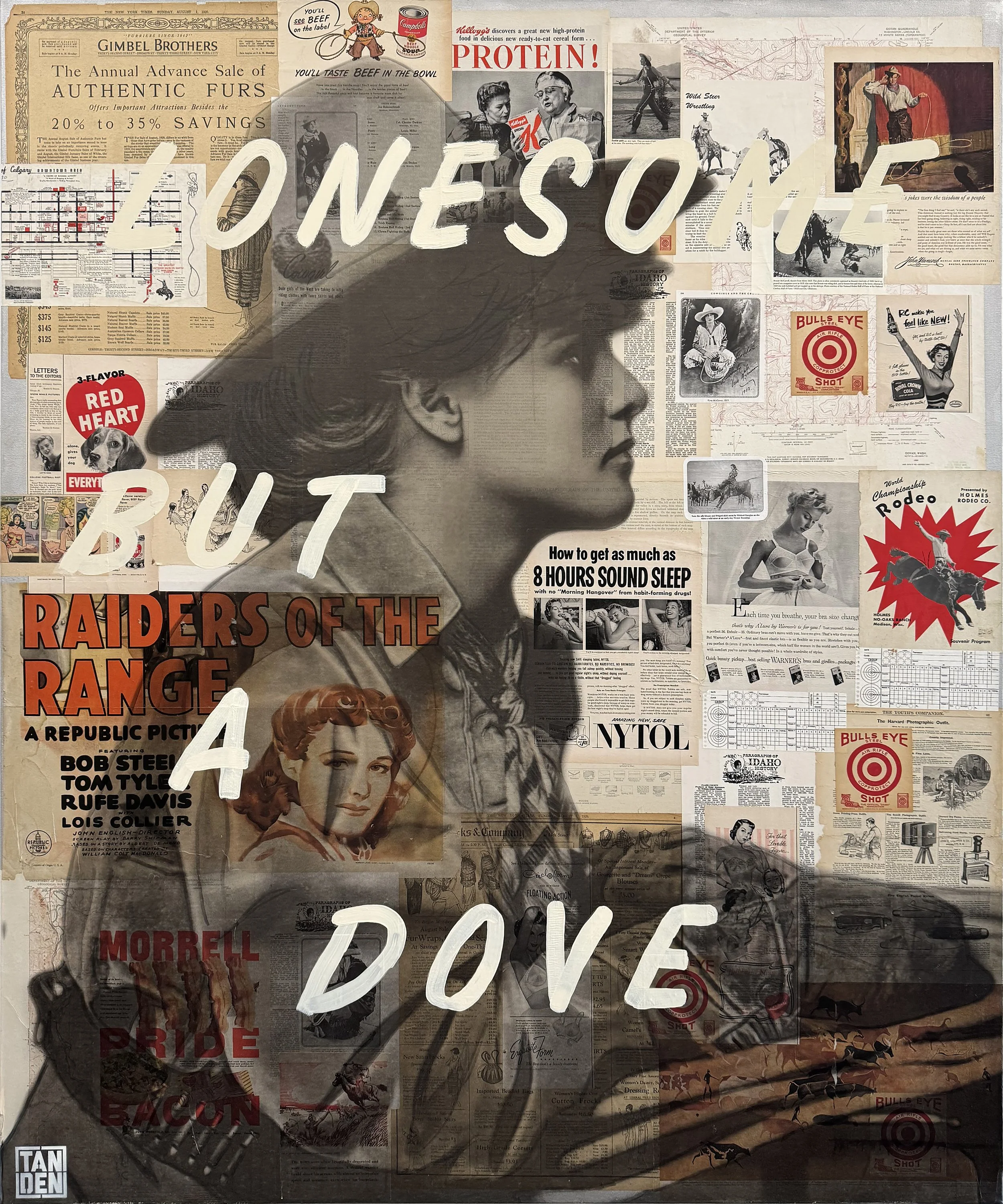 Lonesome But A Dove .jpg