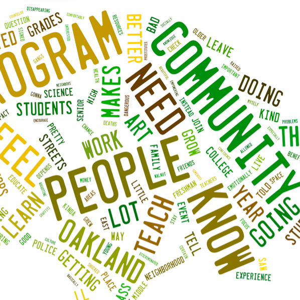 Public Profit Youth Evaluation Team