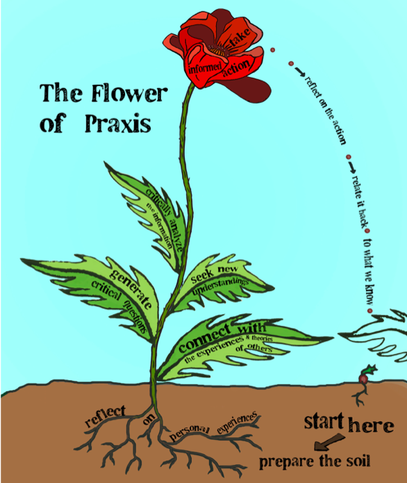 A red poppy grows form brown soil with green leaves and a light blue sky background. Text reads "The Flower of Praxis"