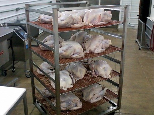 We smoked 18 turkeys this year; here they are ready to go into the smokehouse