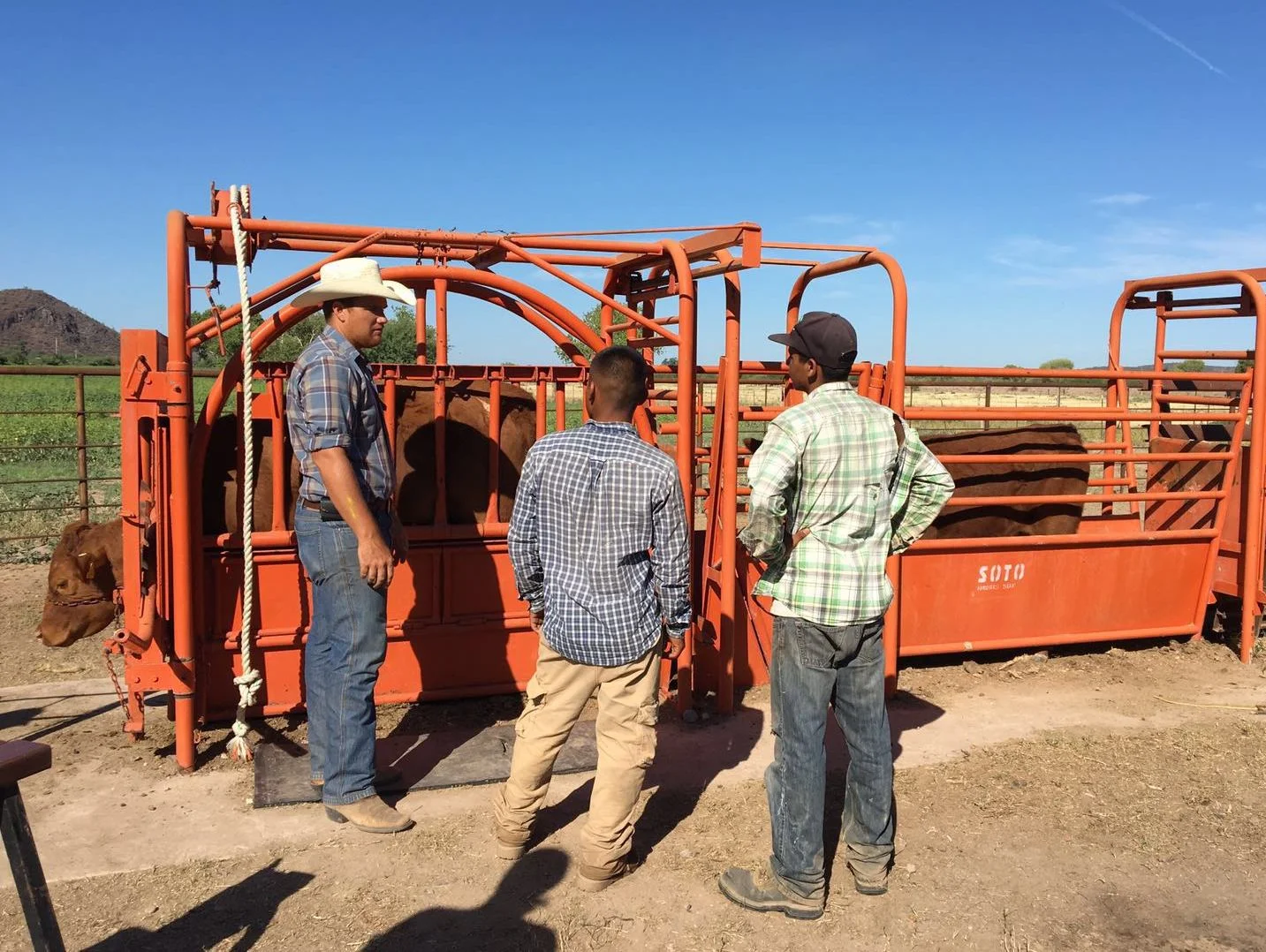 Joel and ranch employees get ready to vaccinate and brand the cattle