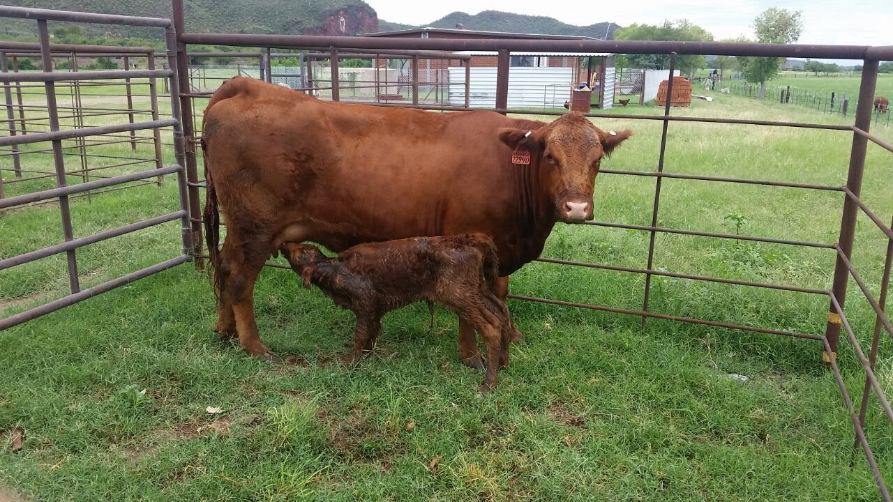 National Ag Day