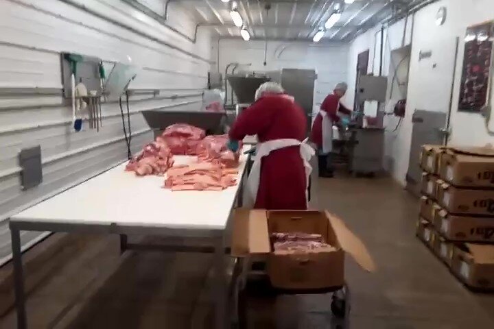 VID_20180131_091201_Moment.jpg