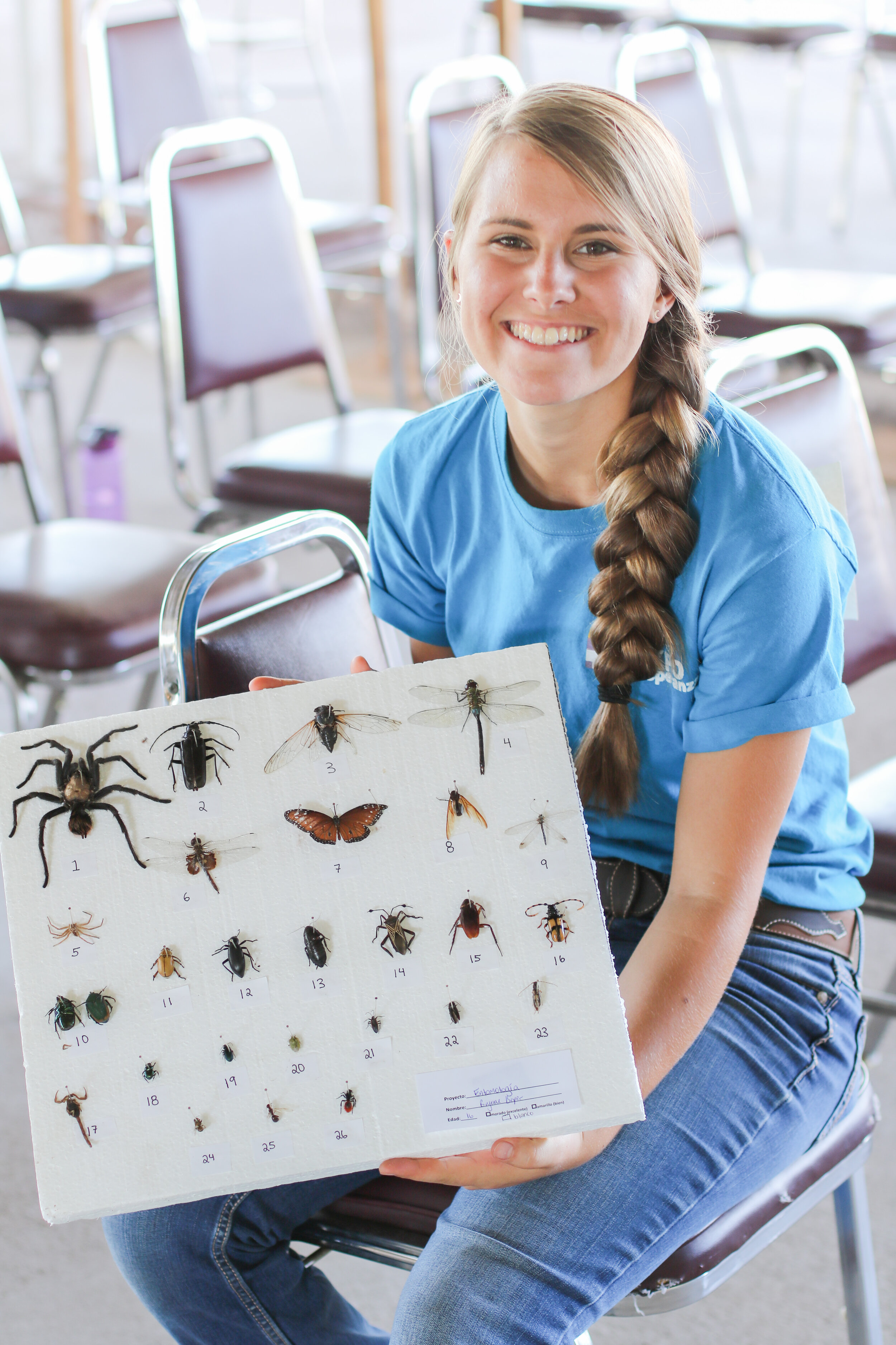 Entomology, Technology