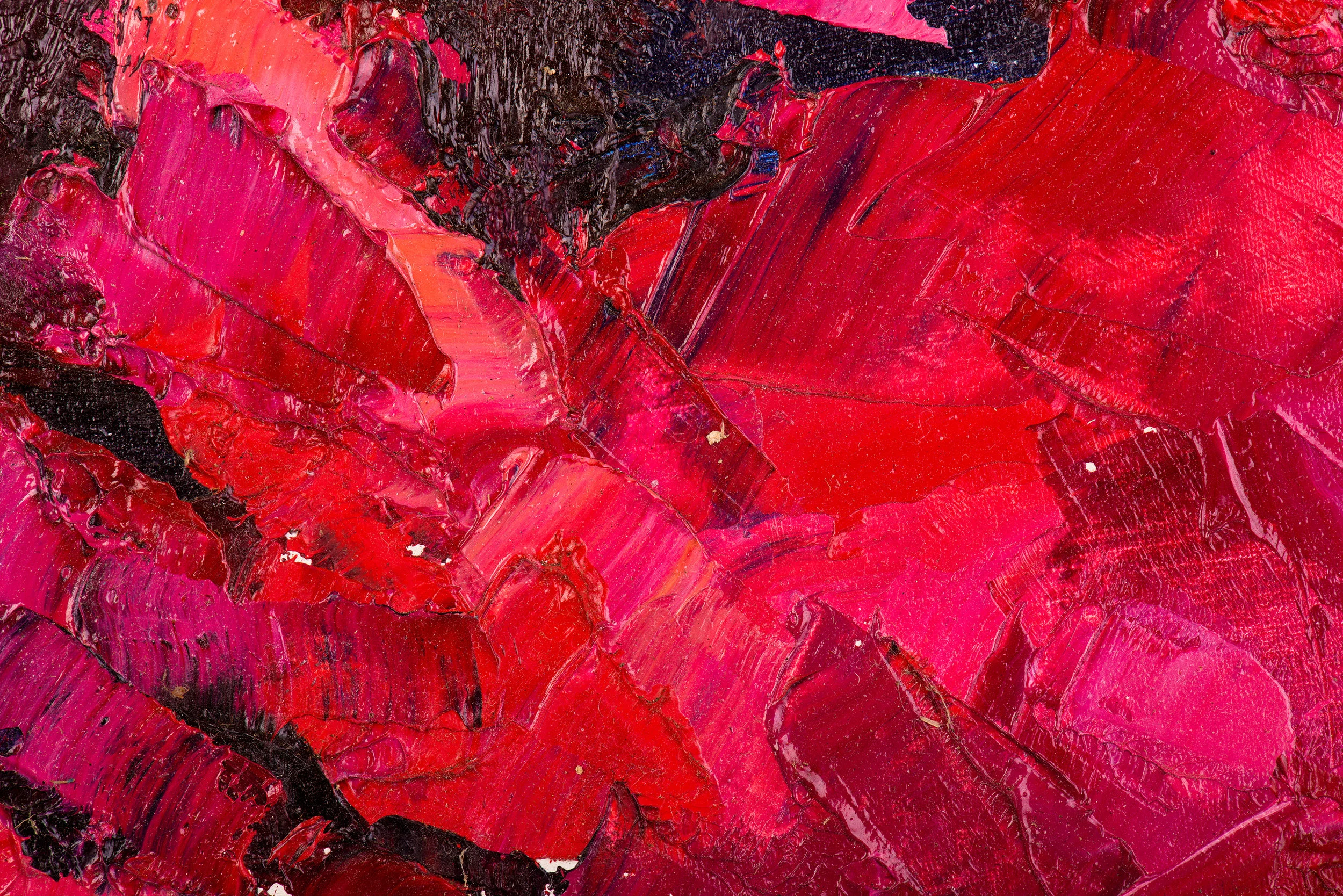 websitebanner.jpg