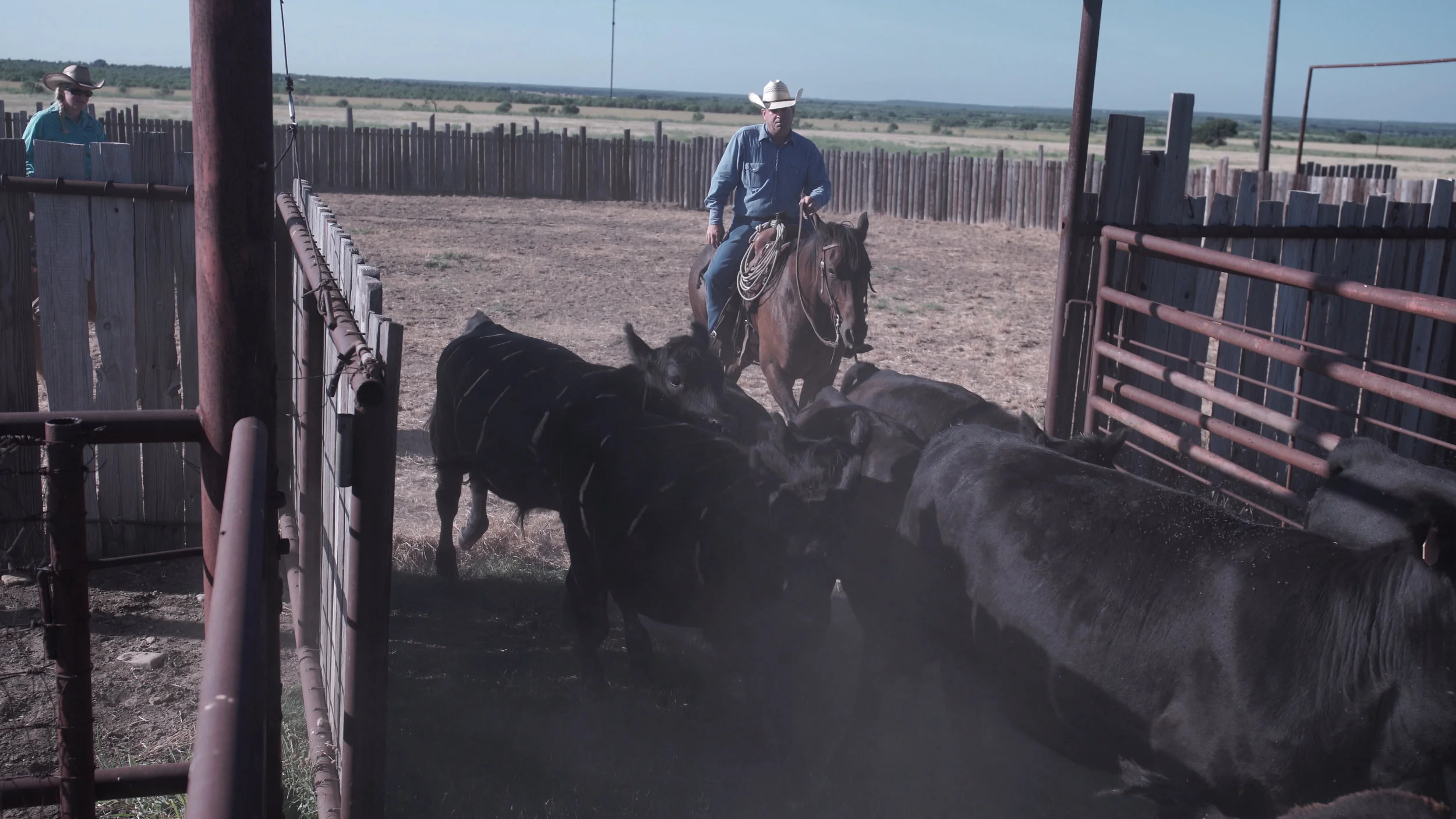 ranching6.jpg