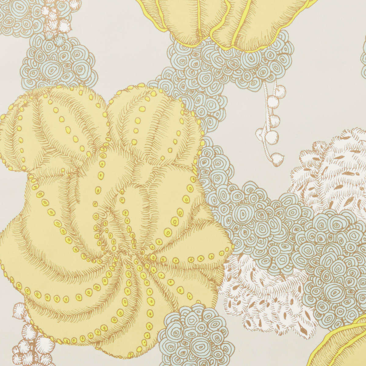 Succulent - Yellow