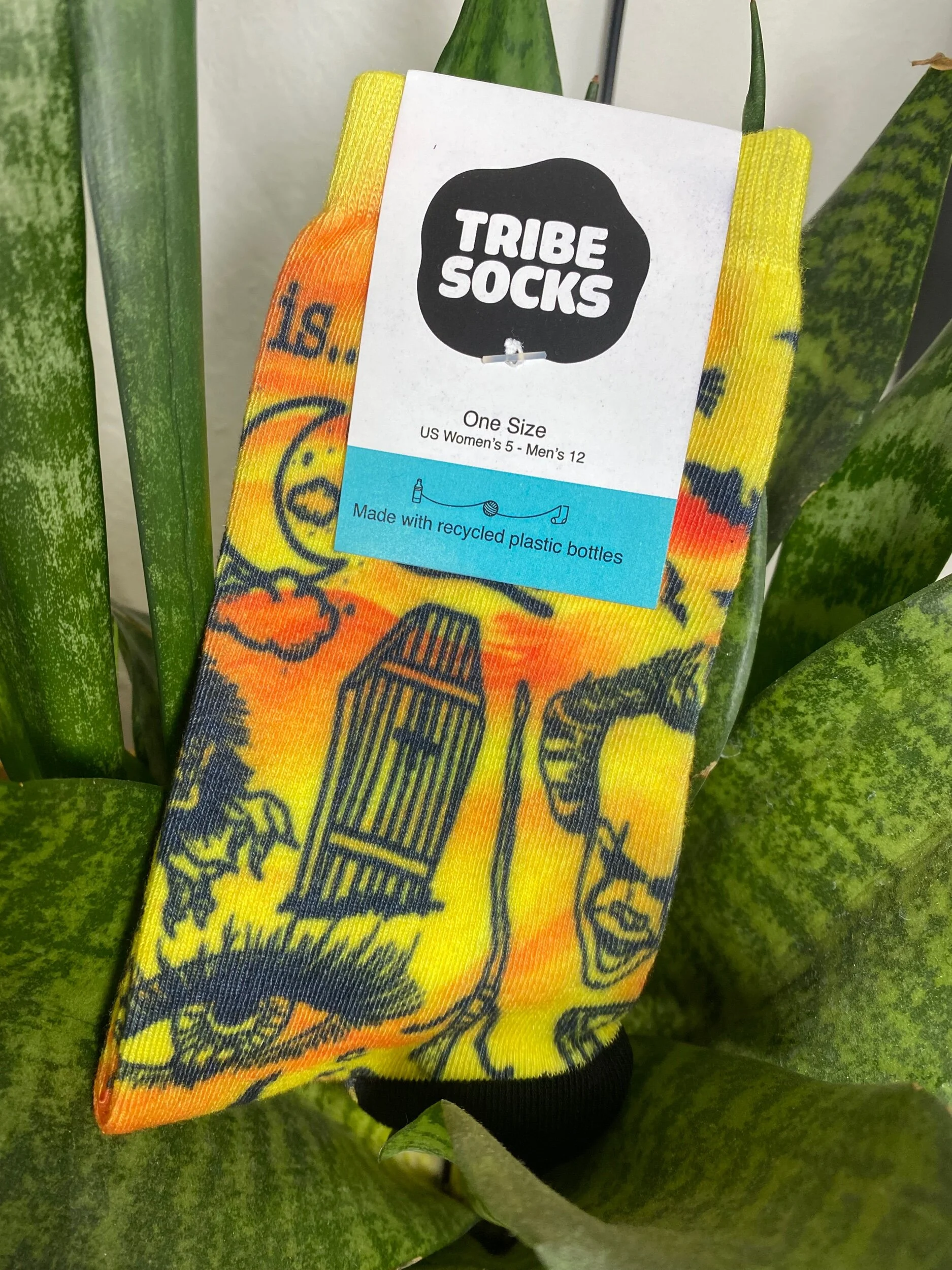 C45E6A5E-82AA-4505-B689-59877C605AA5