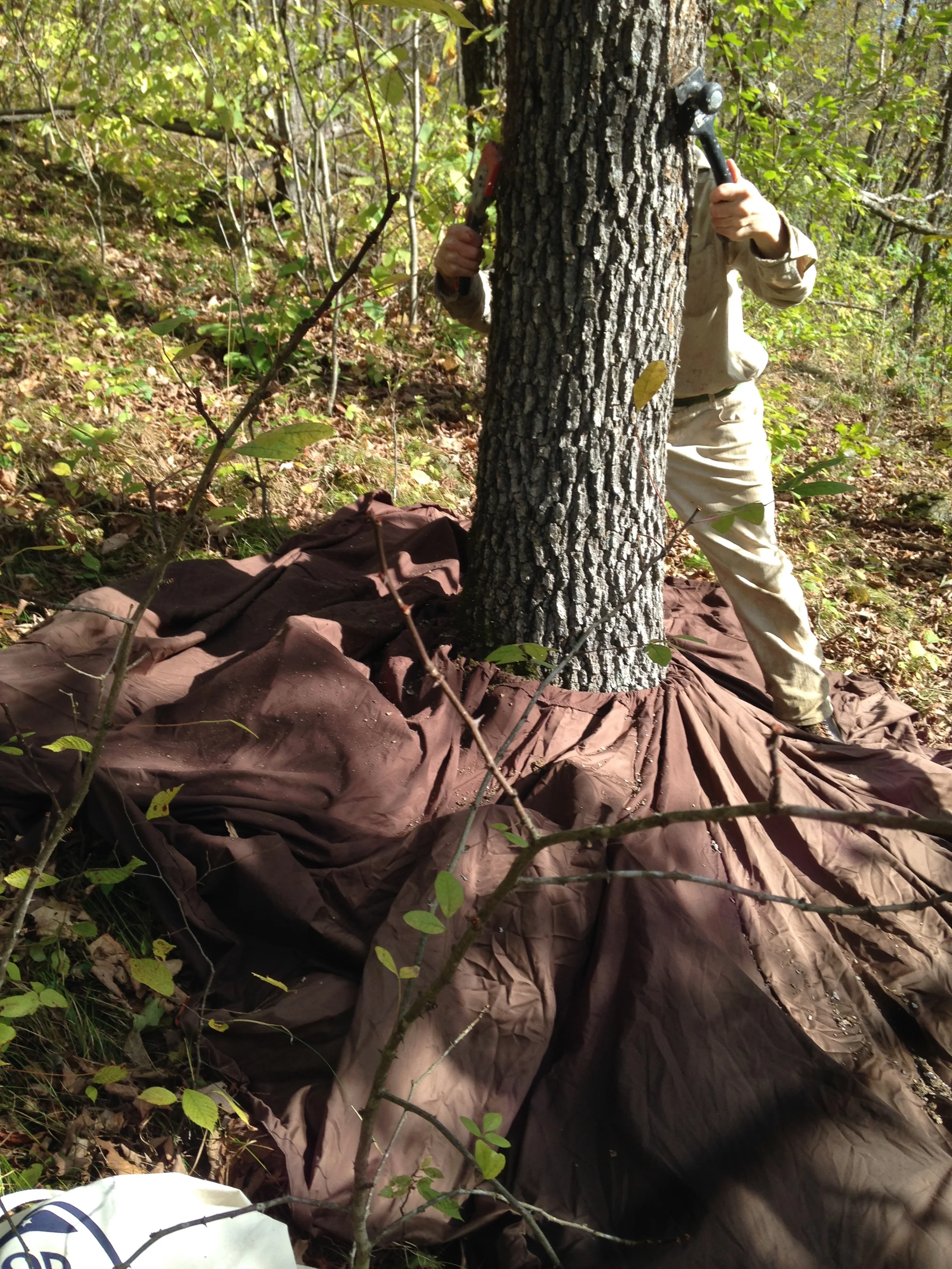 ARE YOU READY FOR THE 2019 PREPARATION MAKING SEASON?