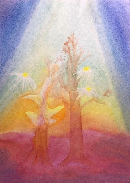 Thank you Martha, for your commitment to biodynamic preparation making!