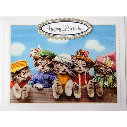 HB1505catsinhats_large.jpg