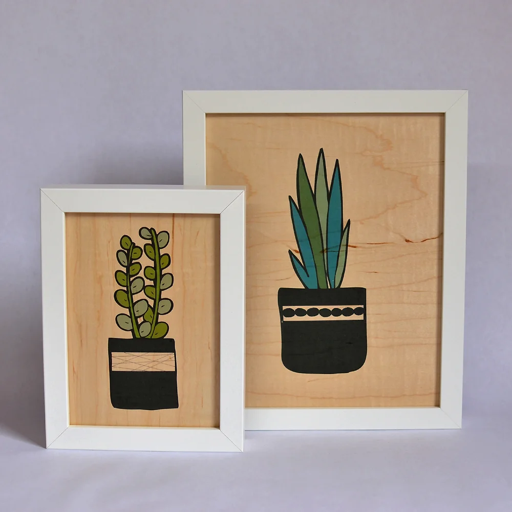 Stacy-Wong-Succulent-Pointy-Round-2.jpg